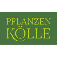 Pflanzen Kölle