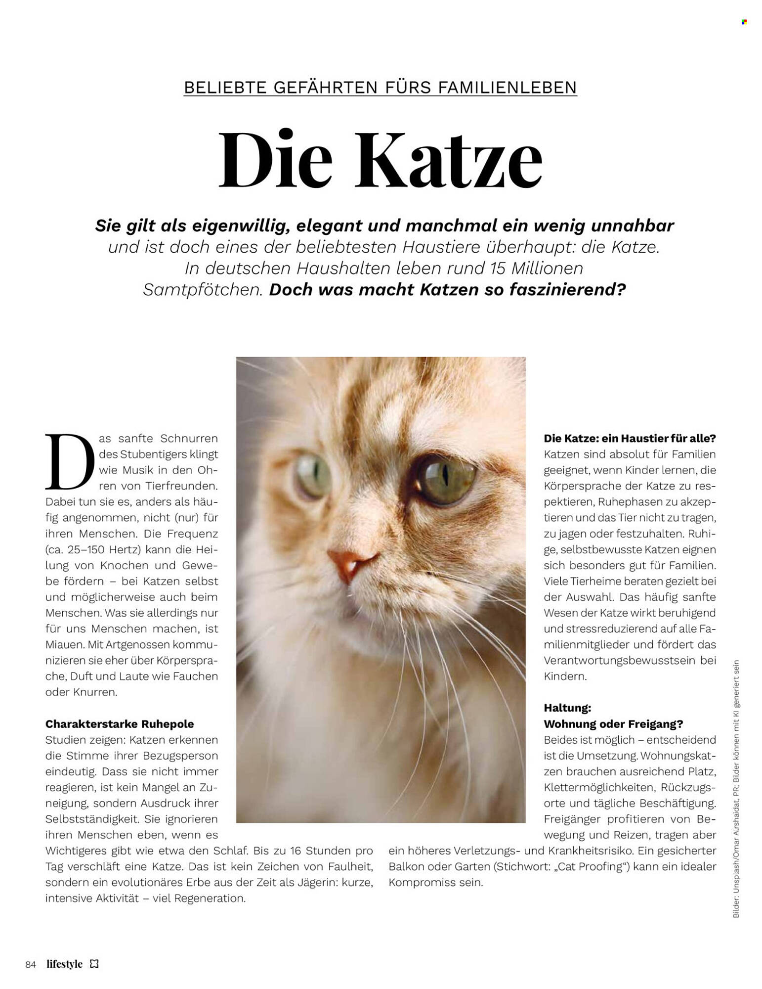 Müller Prospekt - Pagina 84