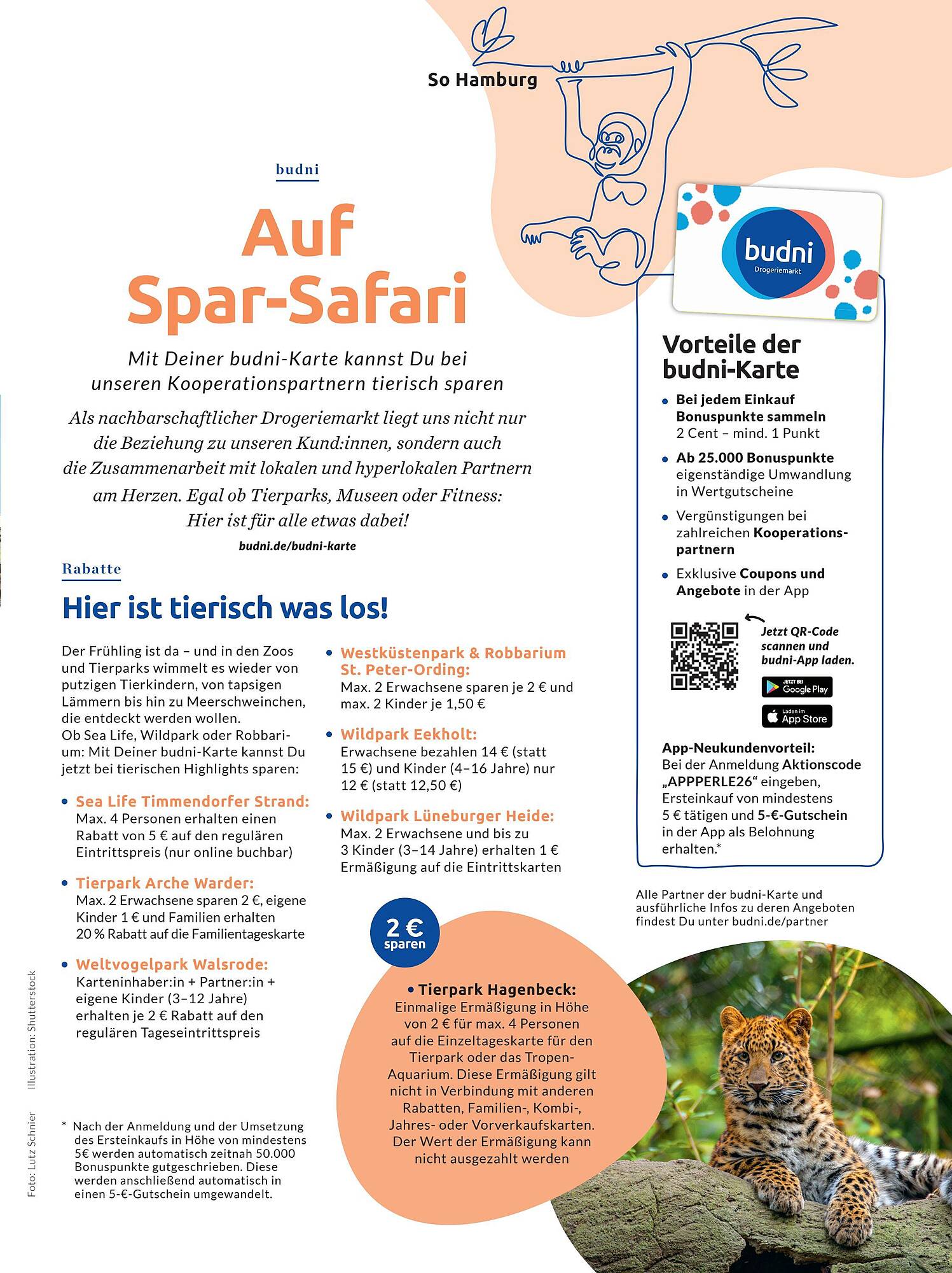 Budni Prospekt - Pagina 61