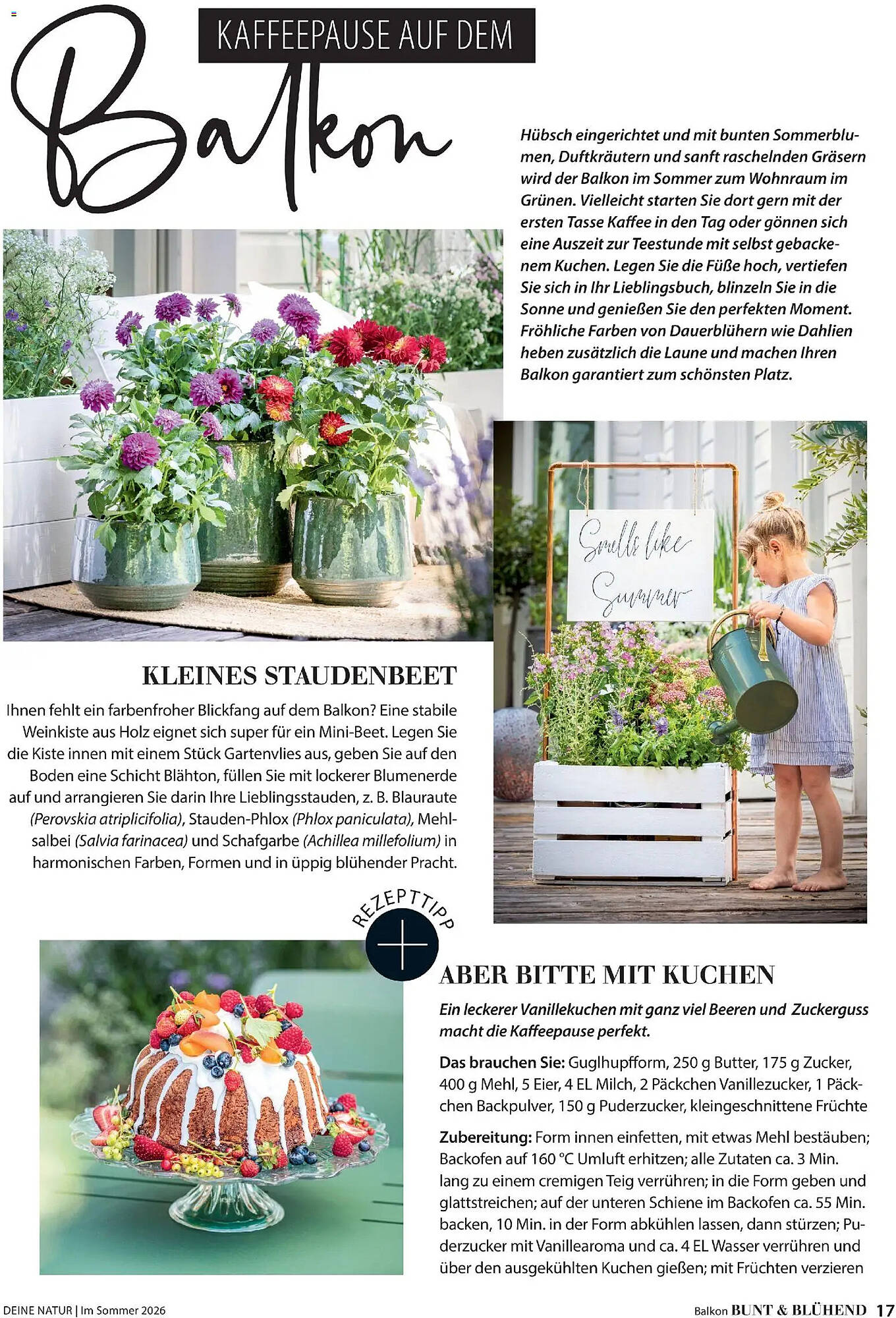 Dehner Prospekt - Pagina 17