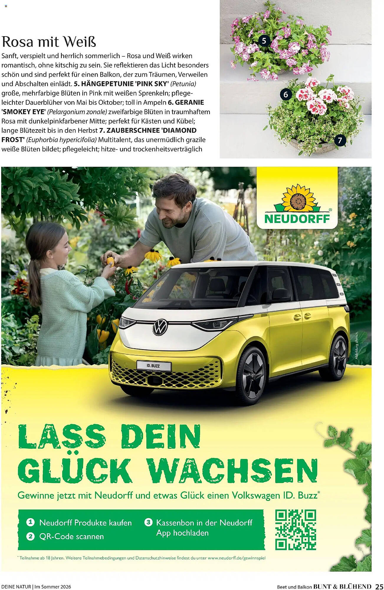 Dehner Prospekt - Pagina 25