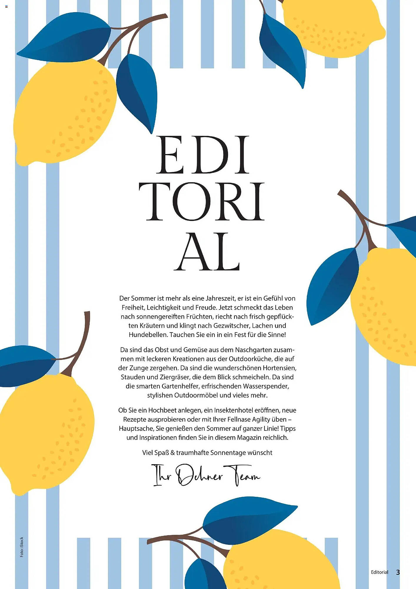 Dehner Prospekt - Pagina 3