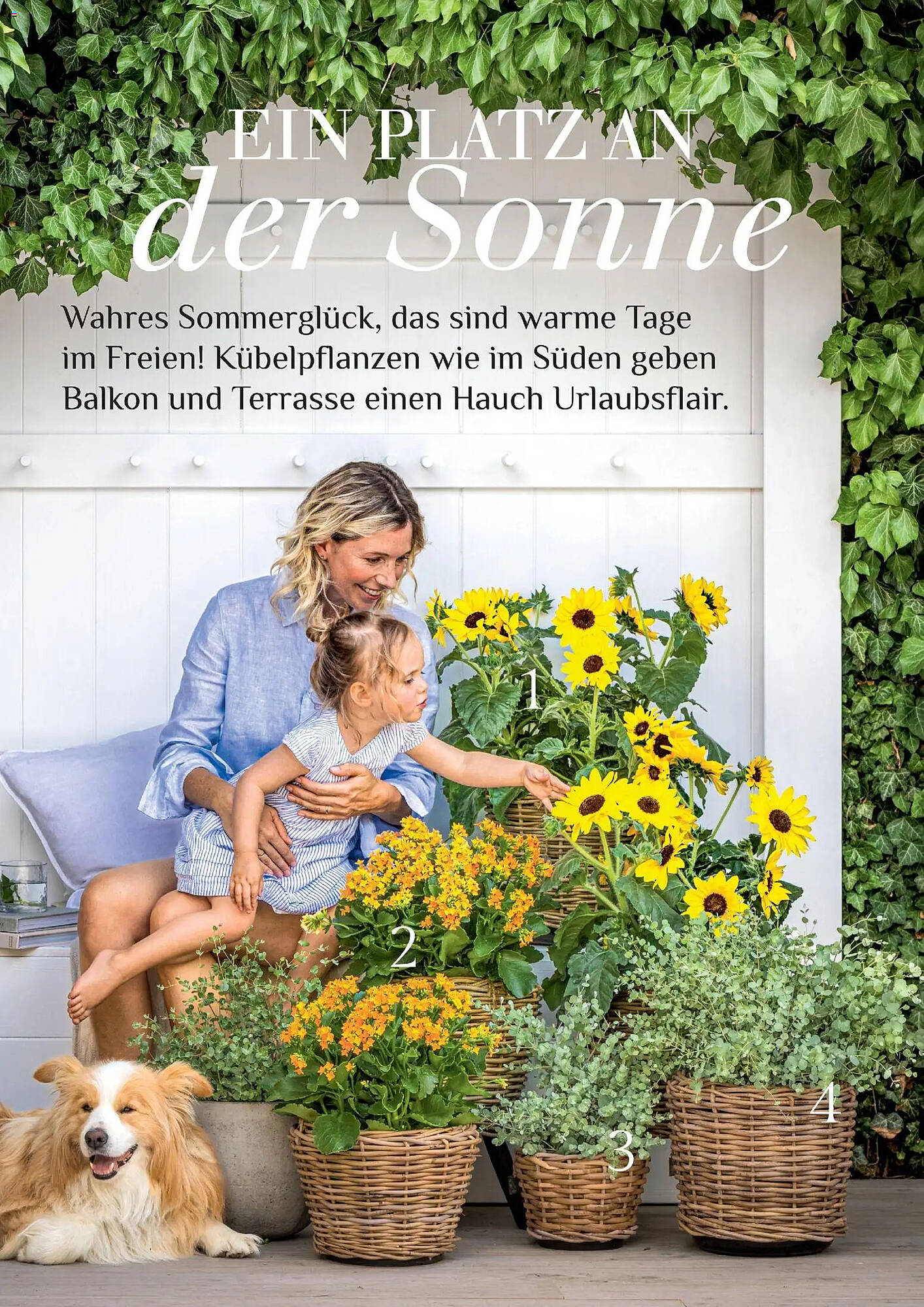 Dehner Prospekt - Pagina 30