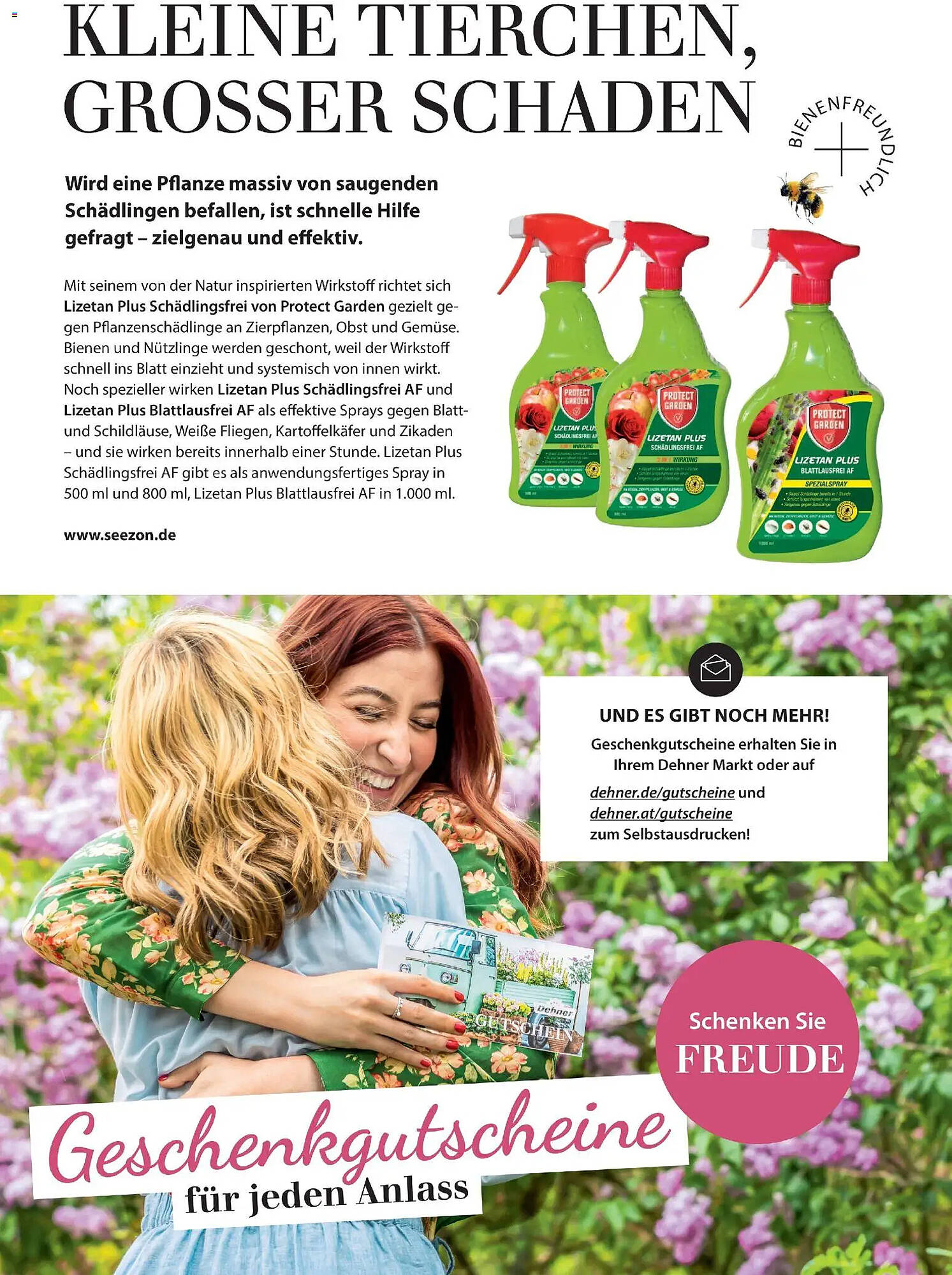 Dehner Prospekt - Pagina 55