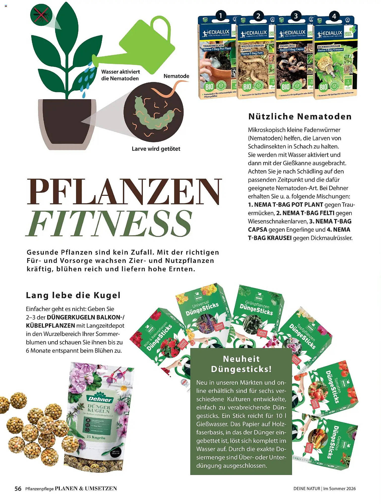 Dehner Prospekt - Pagina 56