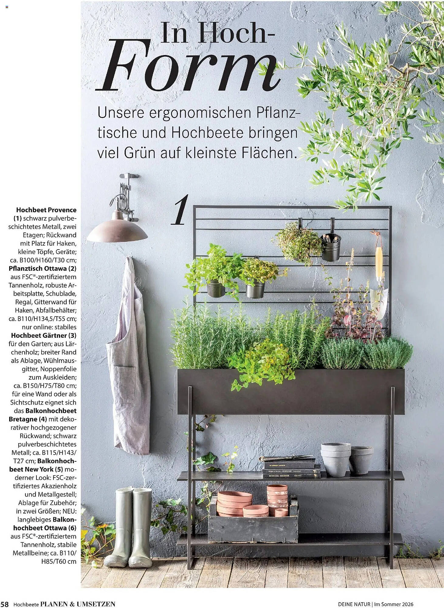 Dehner Prospekt - Pagina 58