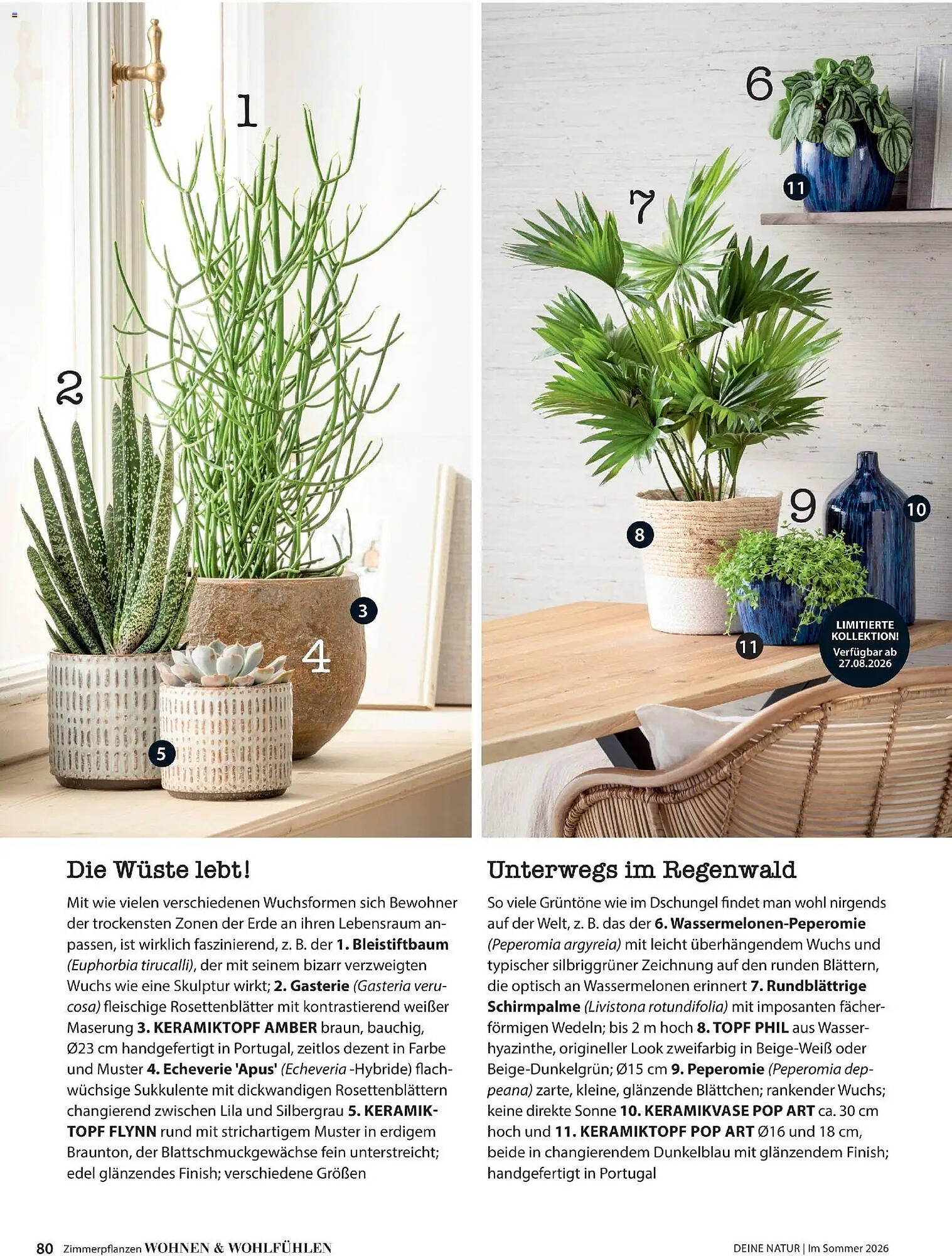 Dehner Prospekt - Pagina 80