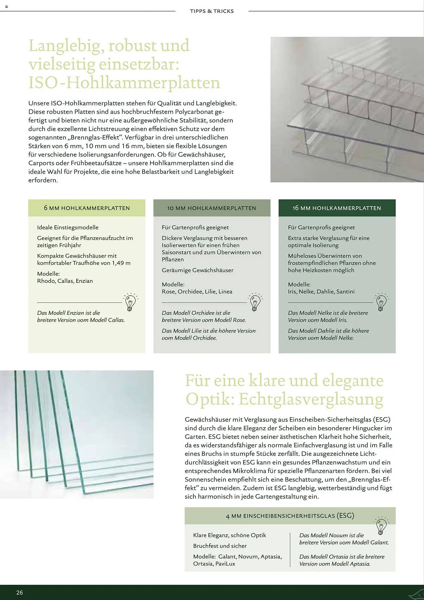 Dehner Prospekt - Pagina 26