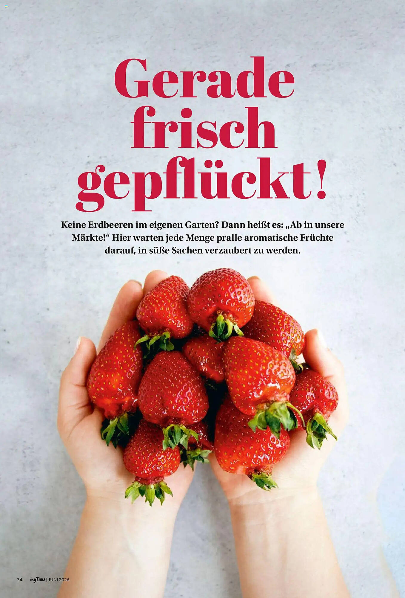 Famila Nord West Prospekt - Pagina 34