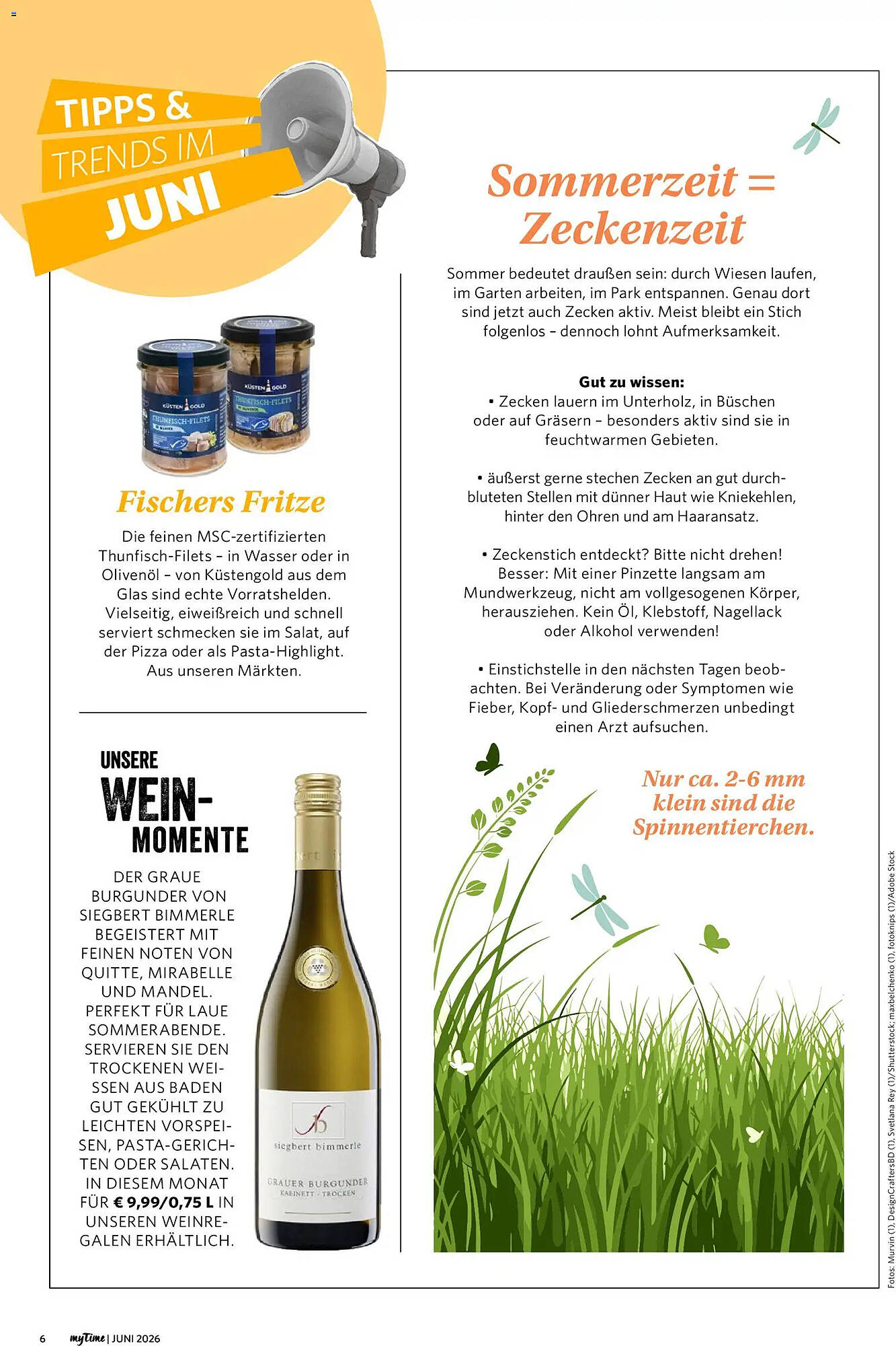 Famila Nord West Prospekt - Pagina 6