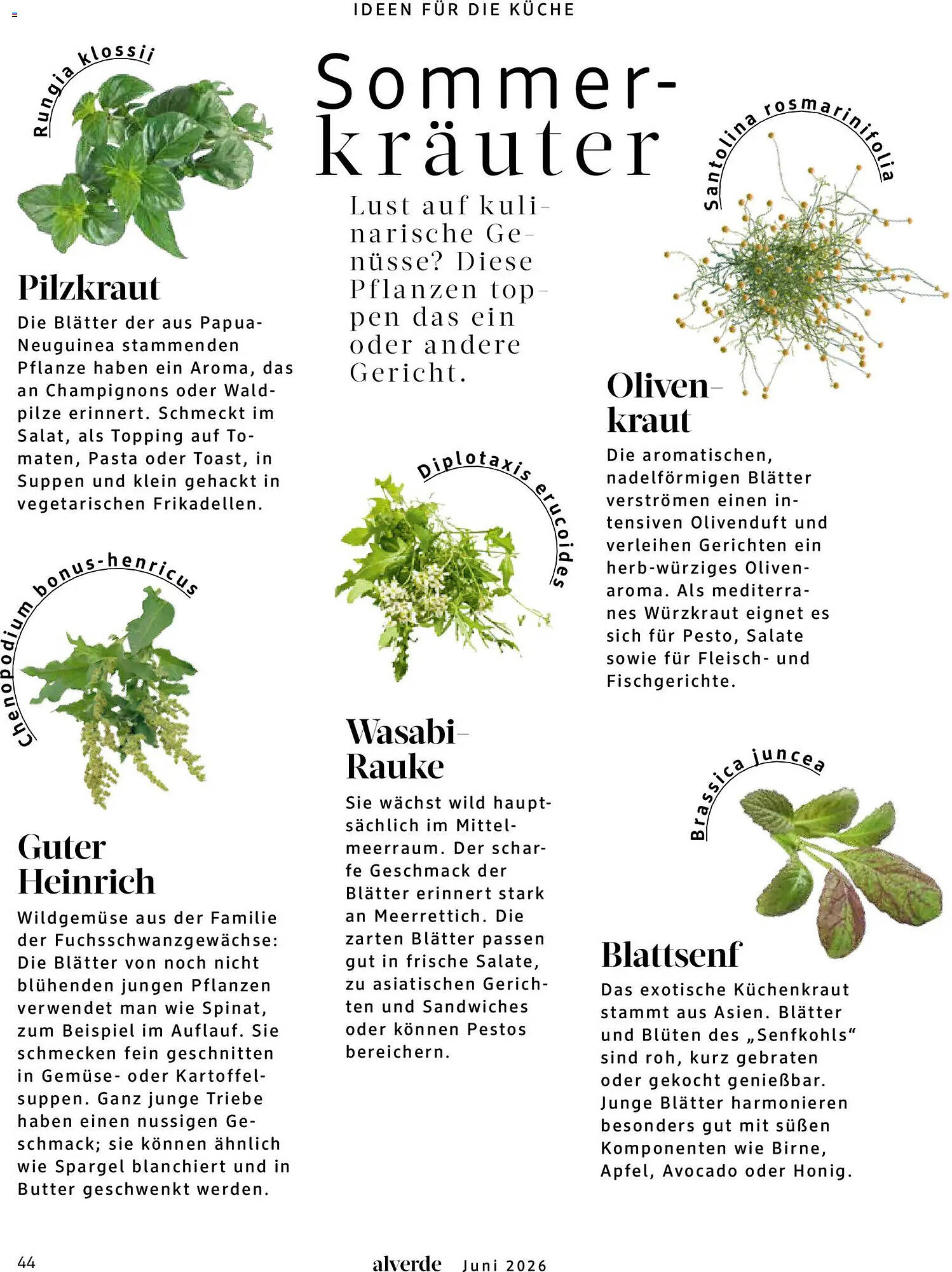dm Prospekt - Pagina 44