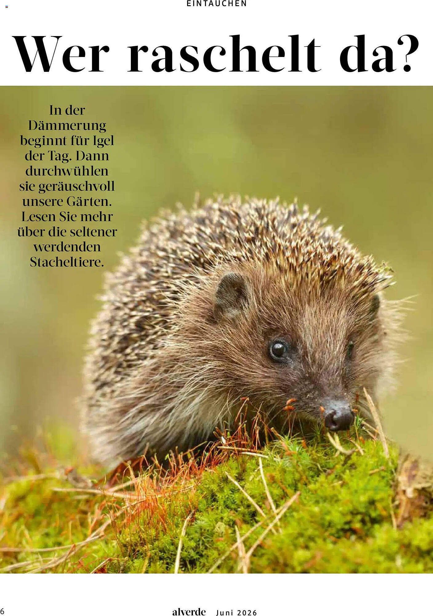 dm Prospekt - Pagina 6