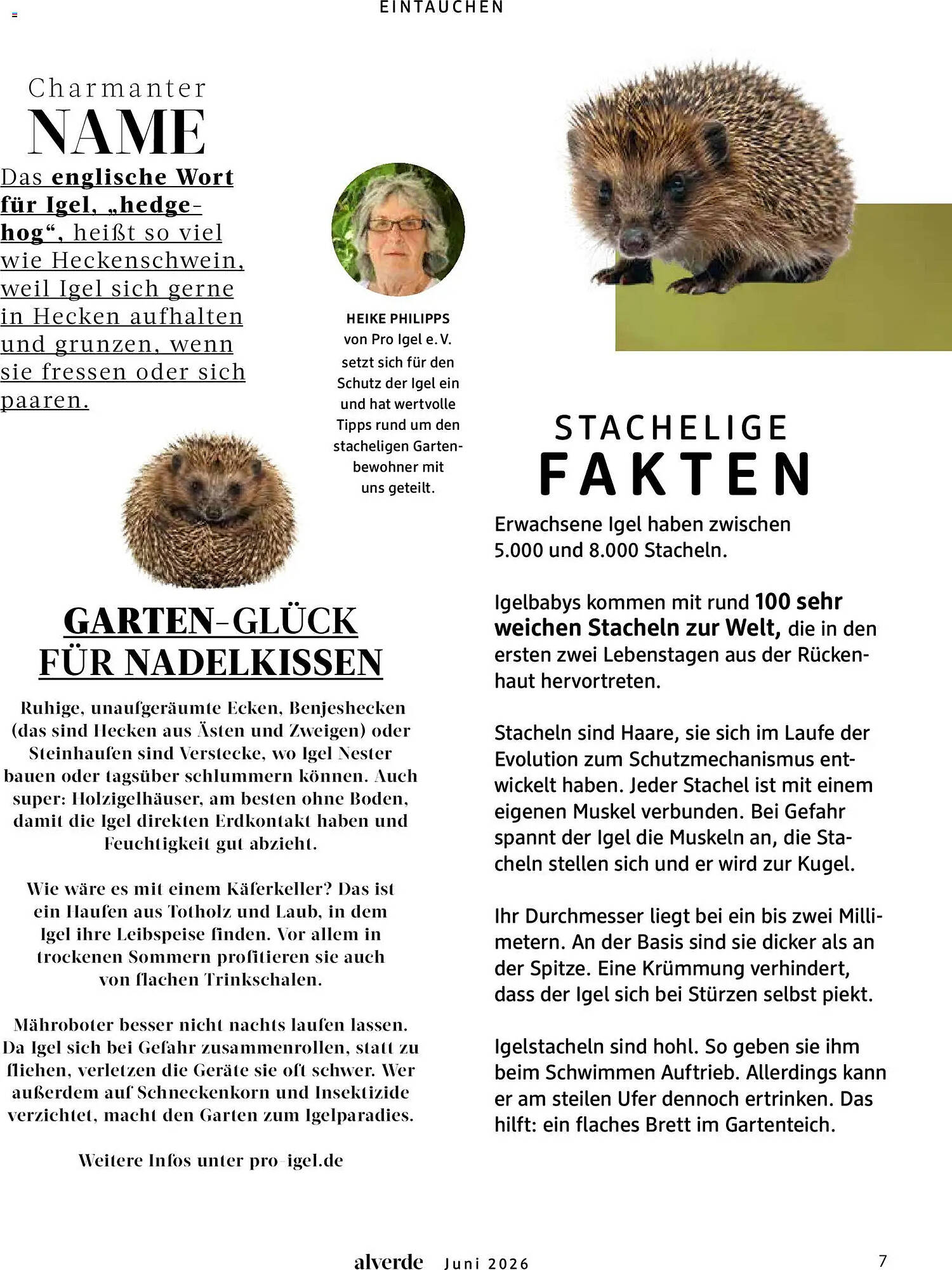 dm Prospekt - Pagina 7