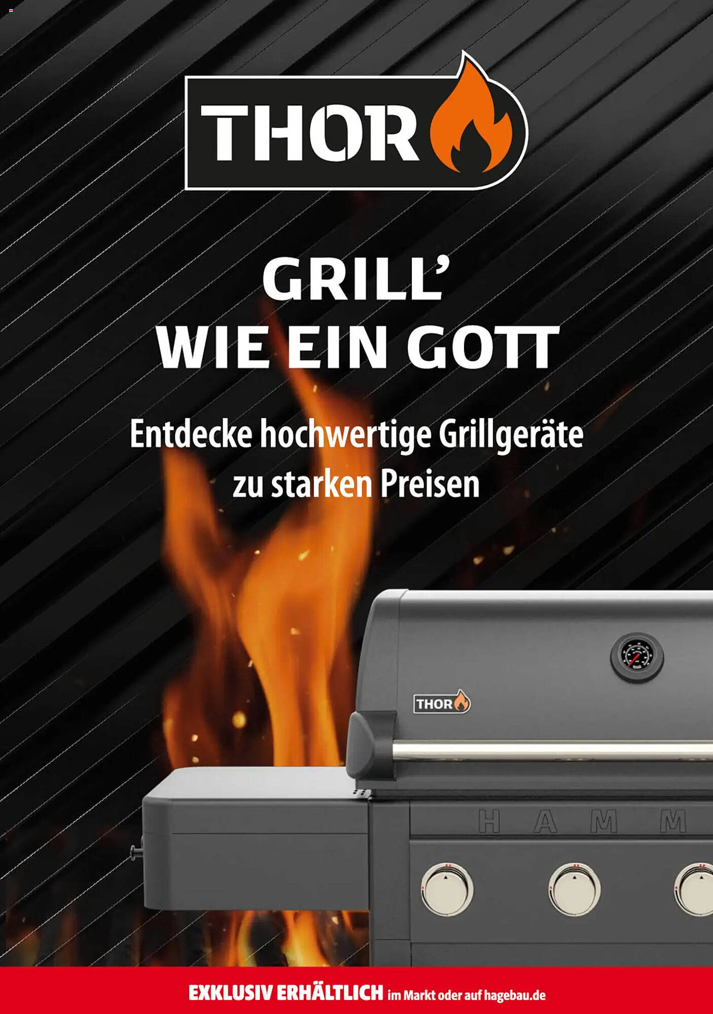 Hagebau Prospekt - Pagina 17