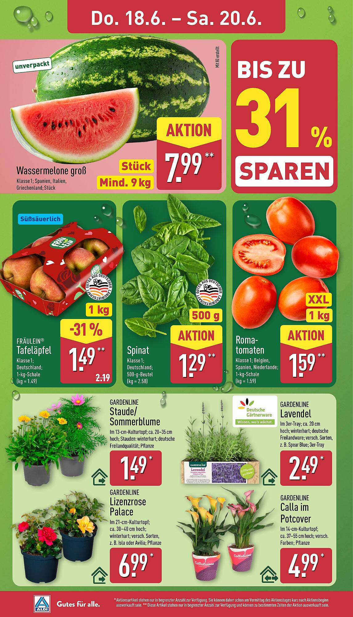 Aldi Nord Prospekt - Pagina 30