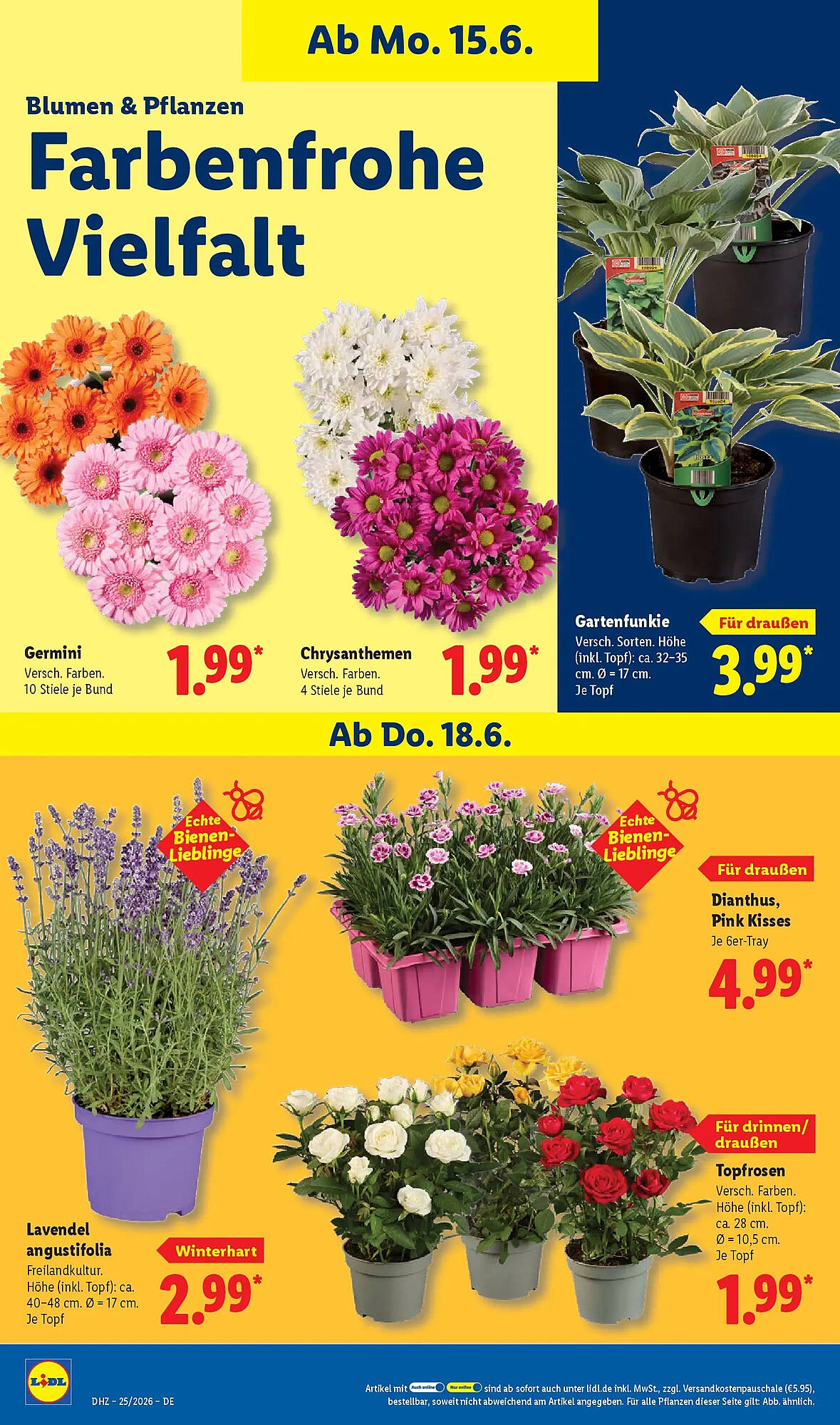 Lidl Prospekt - Pagina 74