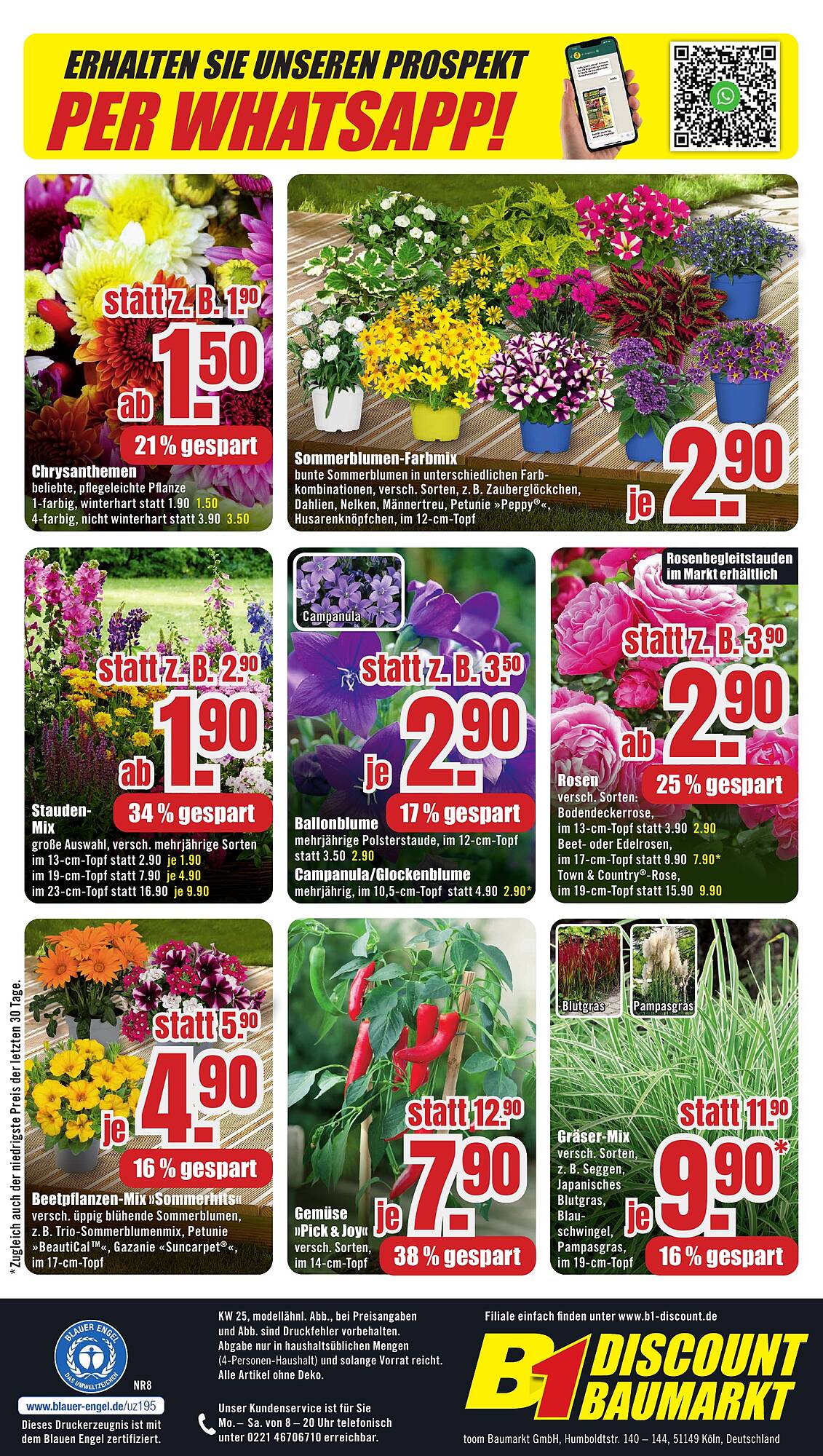 B1 Discount Baumarkt Prospekt - Pagina 8