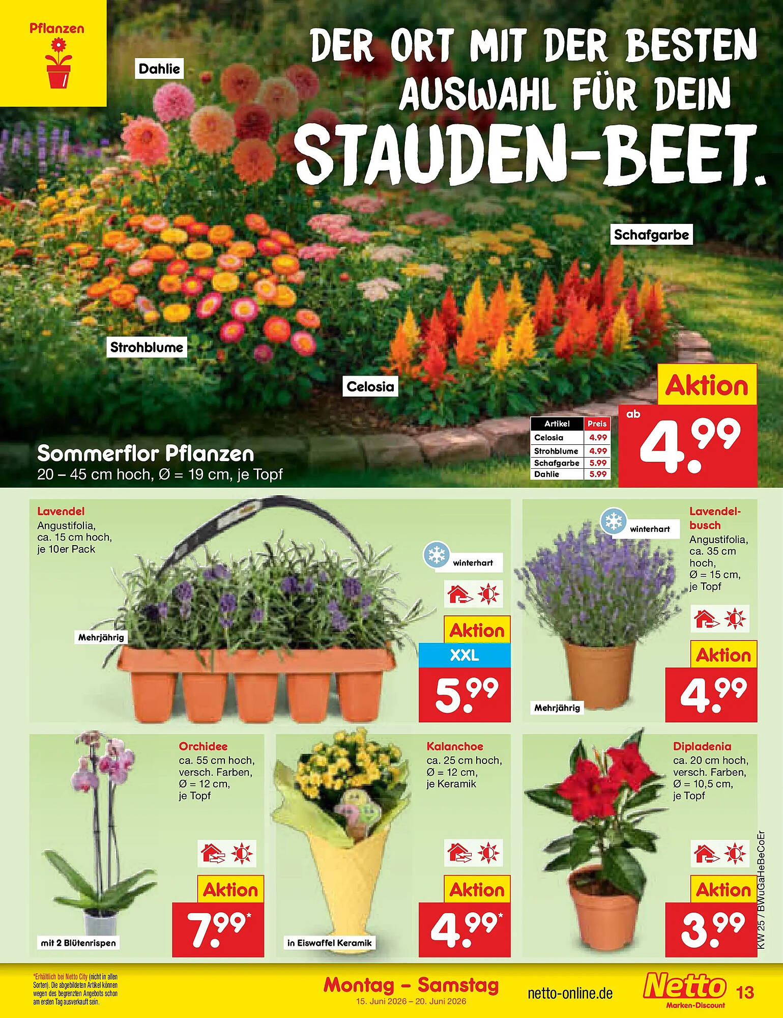 Netto Marken-Discount Prospekt - Pagina 17