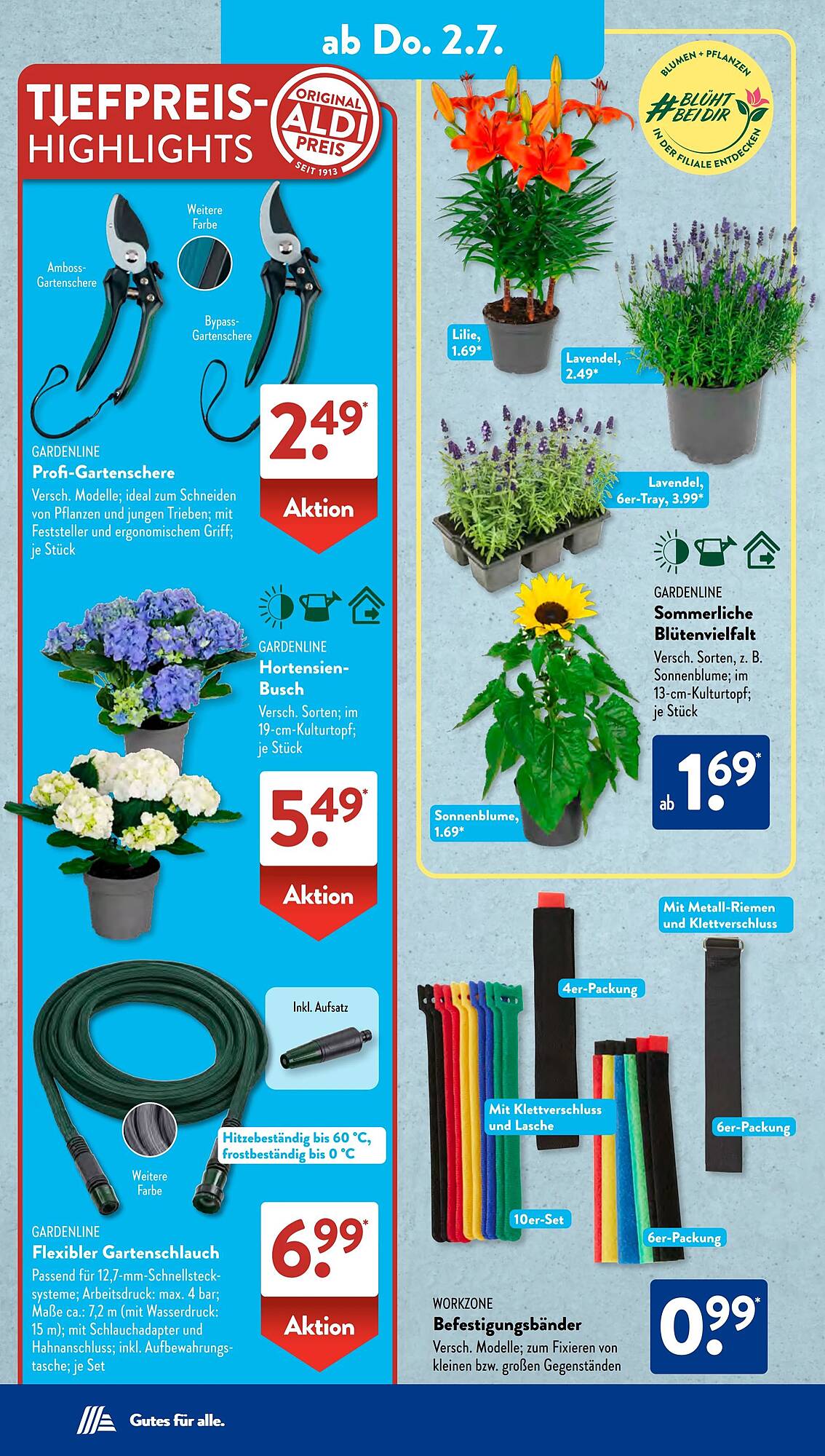 Aldi Süd Prospekt - Pagina 12