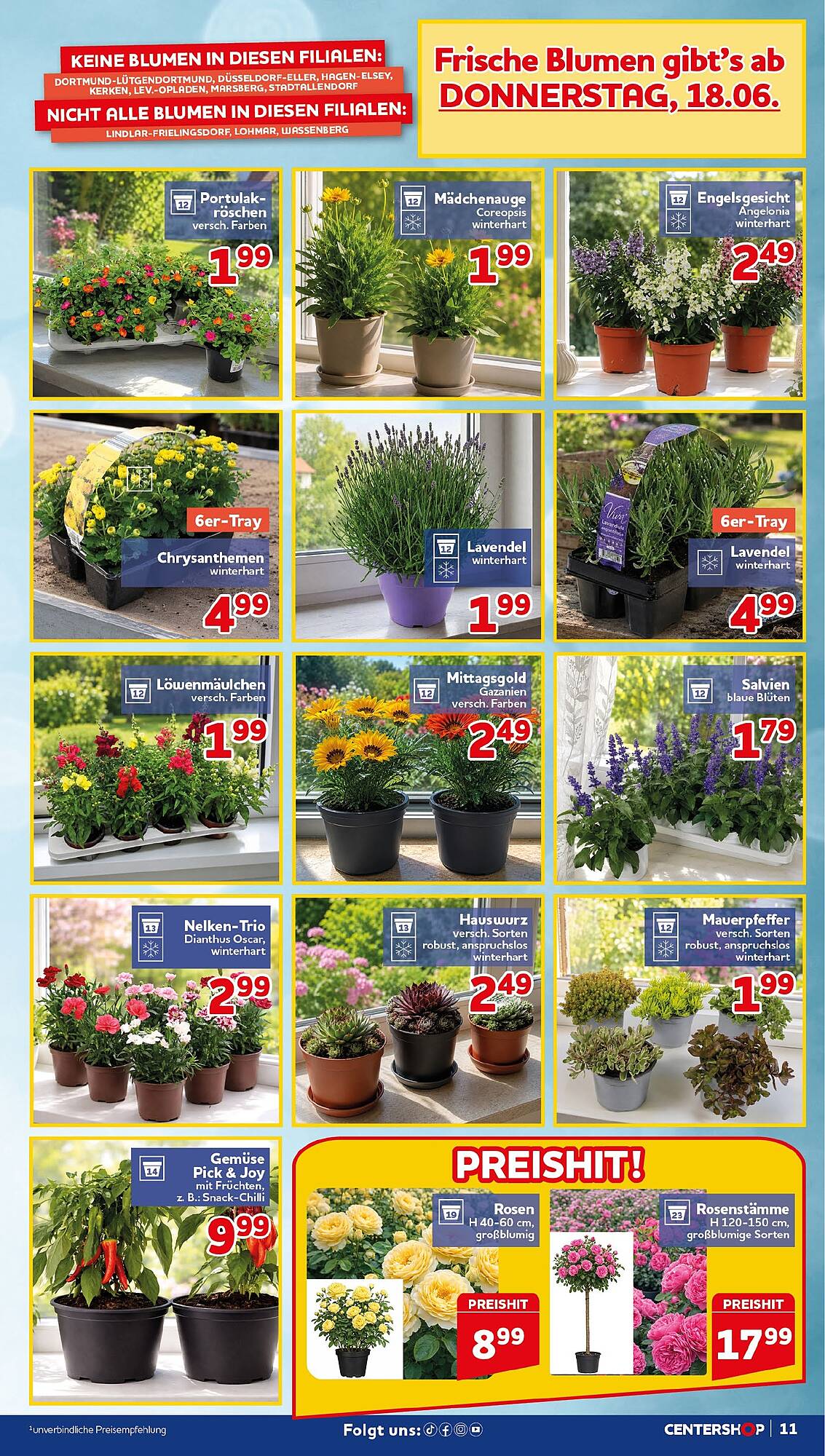 CENTERSHOP Prospekt - Pagina 11
