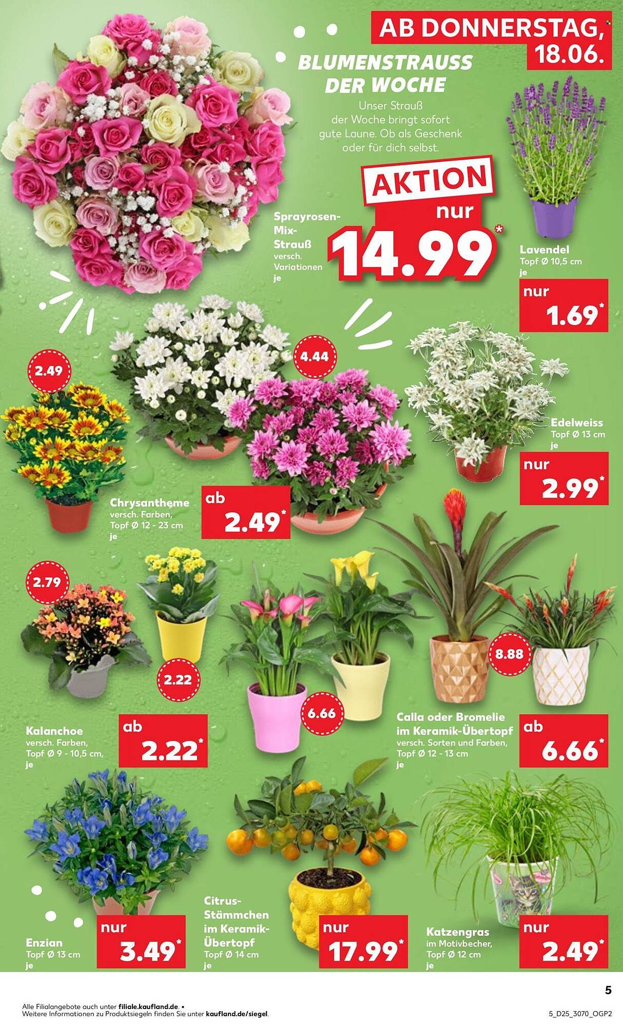 Kaufland Prospekt - Pagina 5