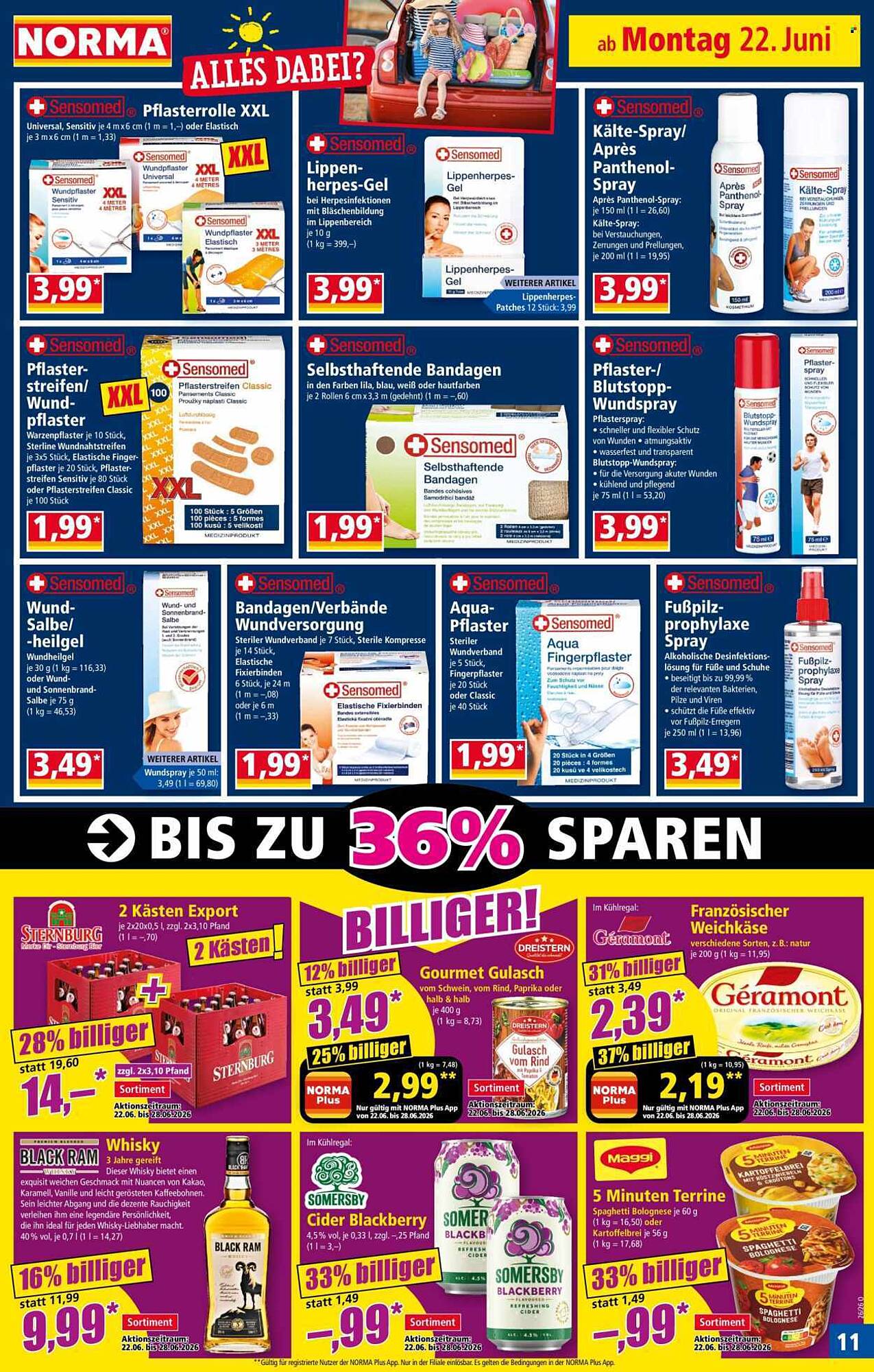 Norma Prospekt - Pagina 11