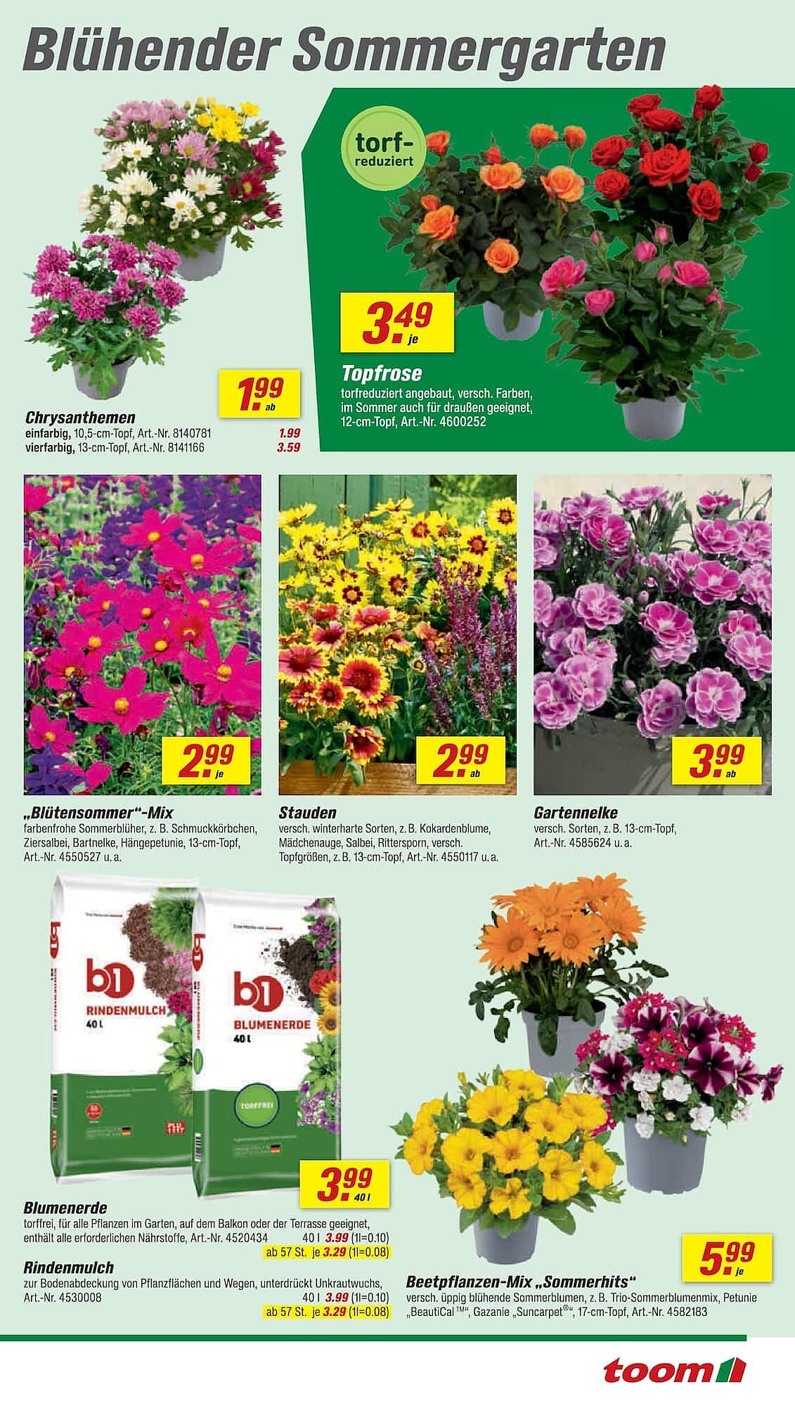toom Baumarkt Prospekt - Pagina 5