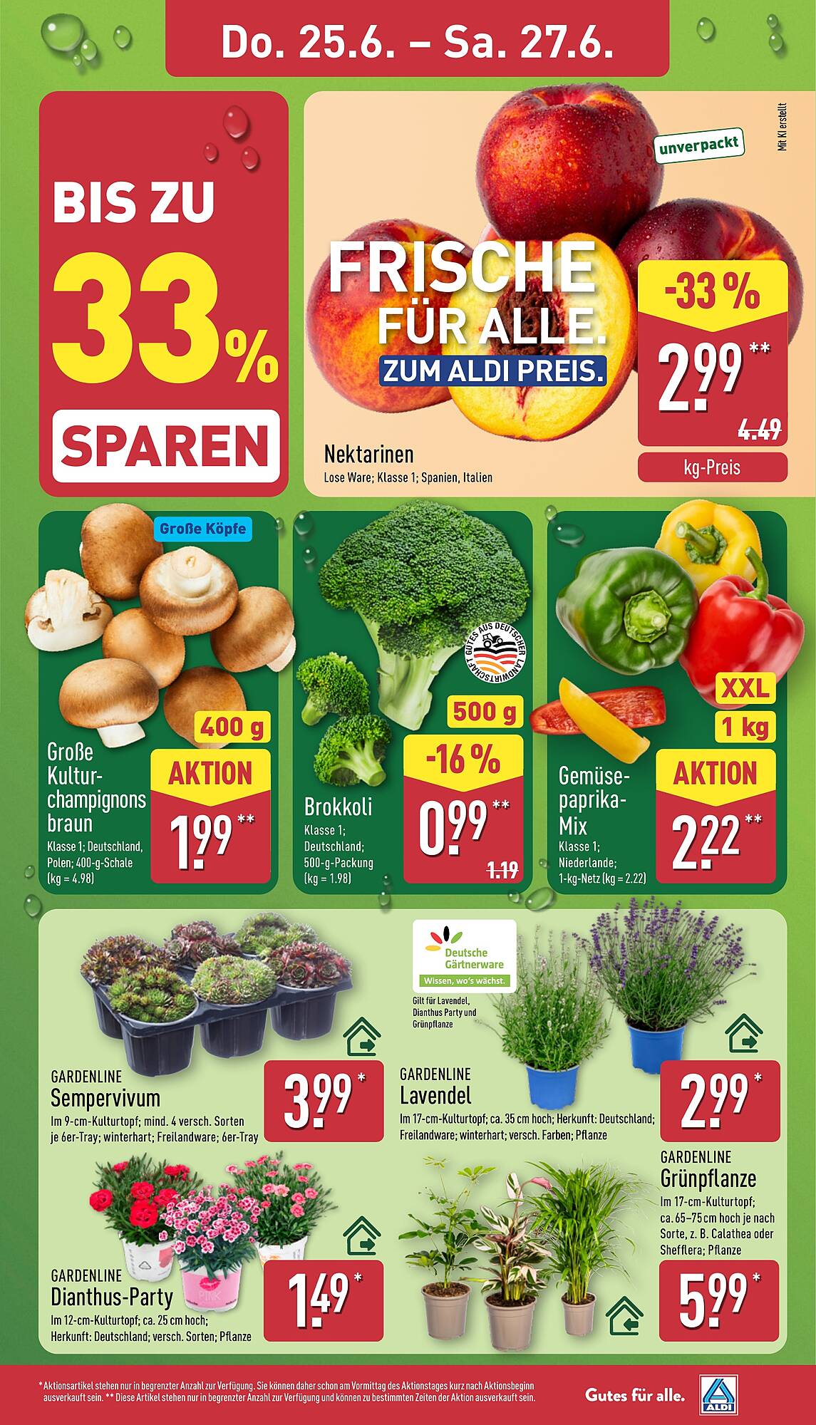 Aldi Nord Prospekt - Pagina 29