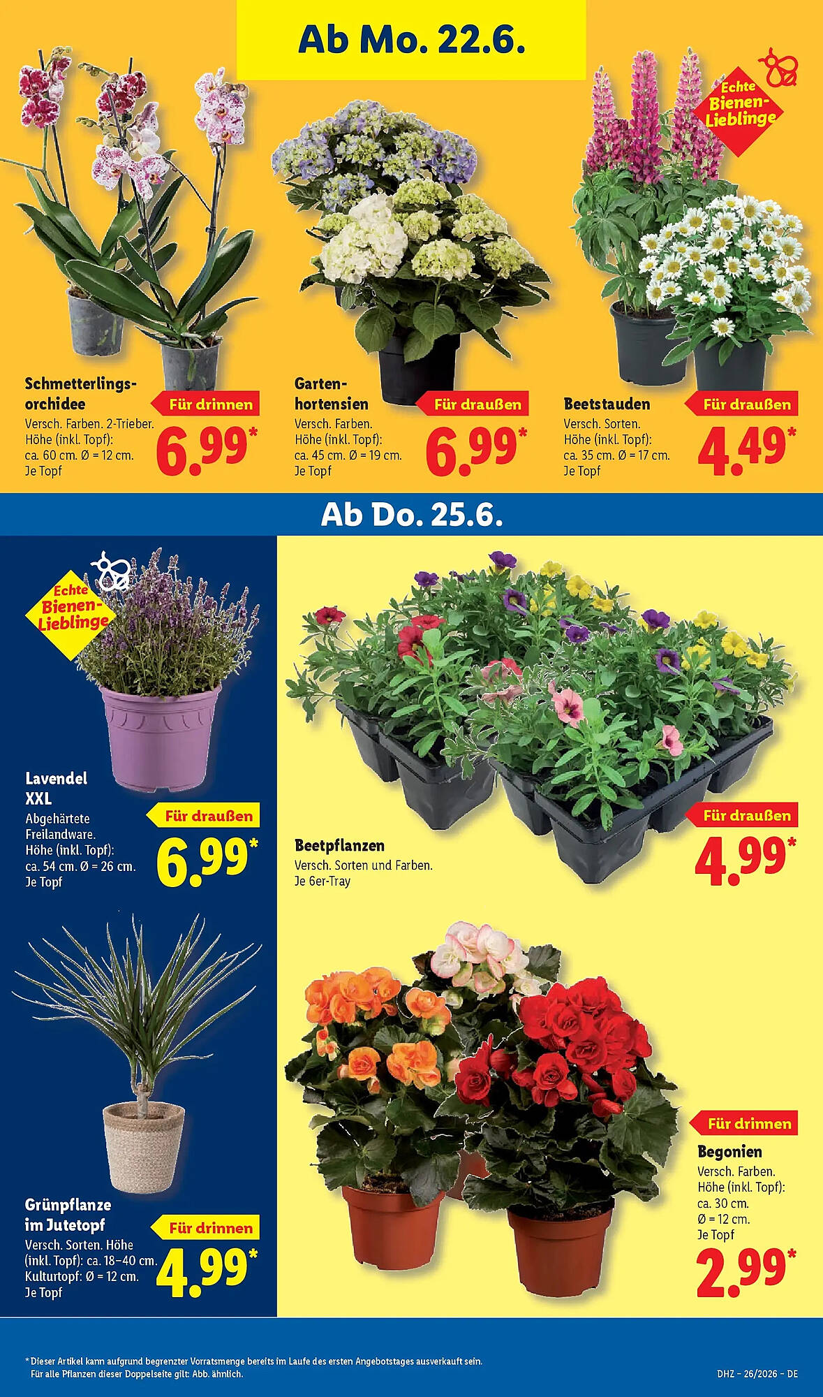 Lidl Prospekt - Pagina 73