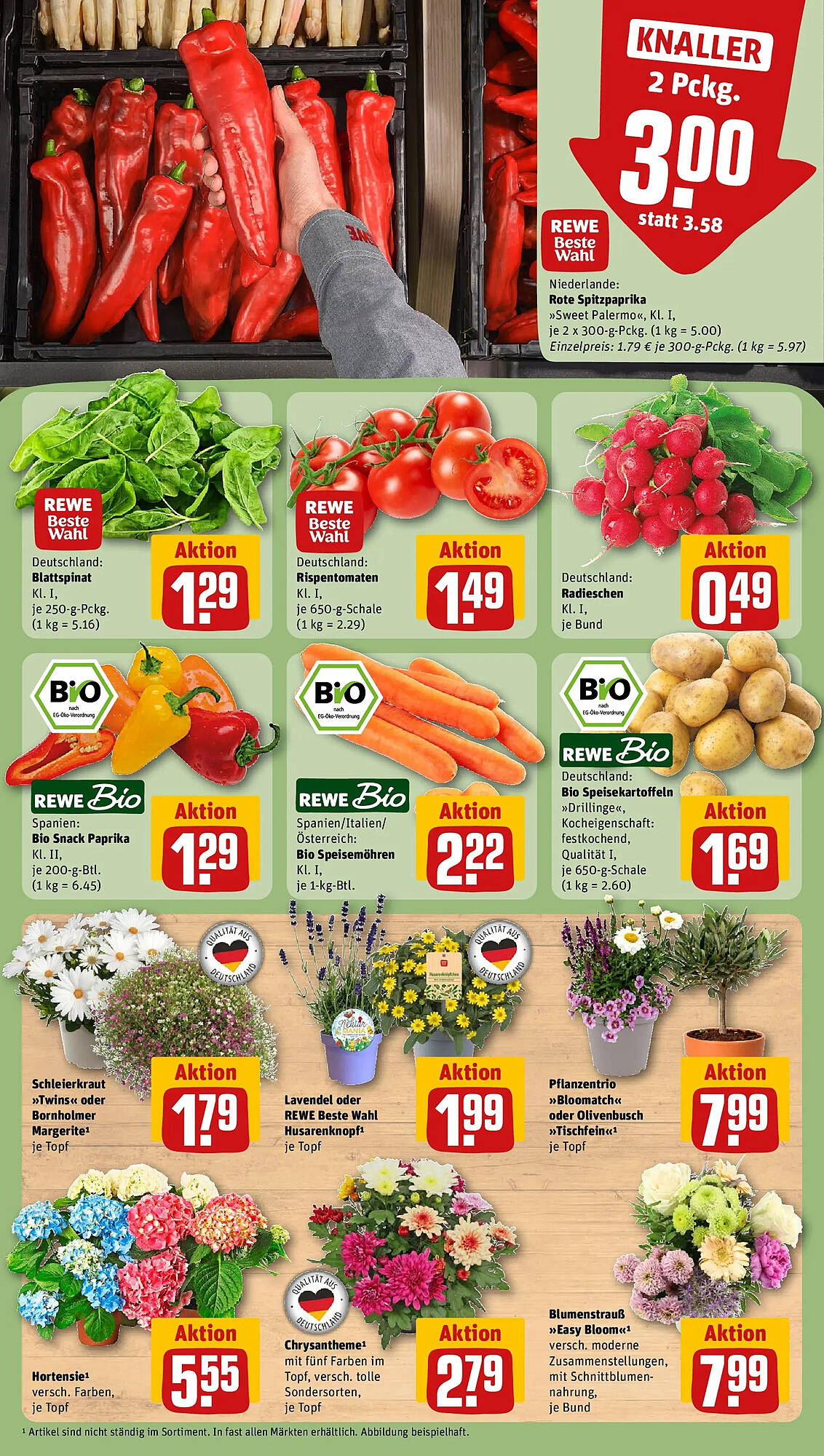 REWE Prospekt - Pagina 11