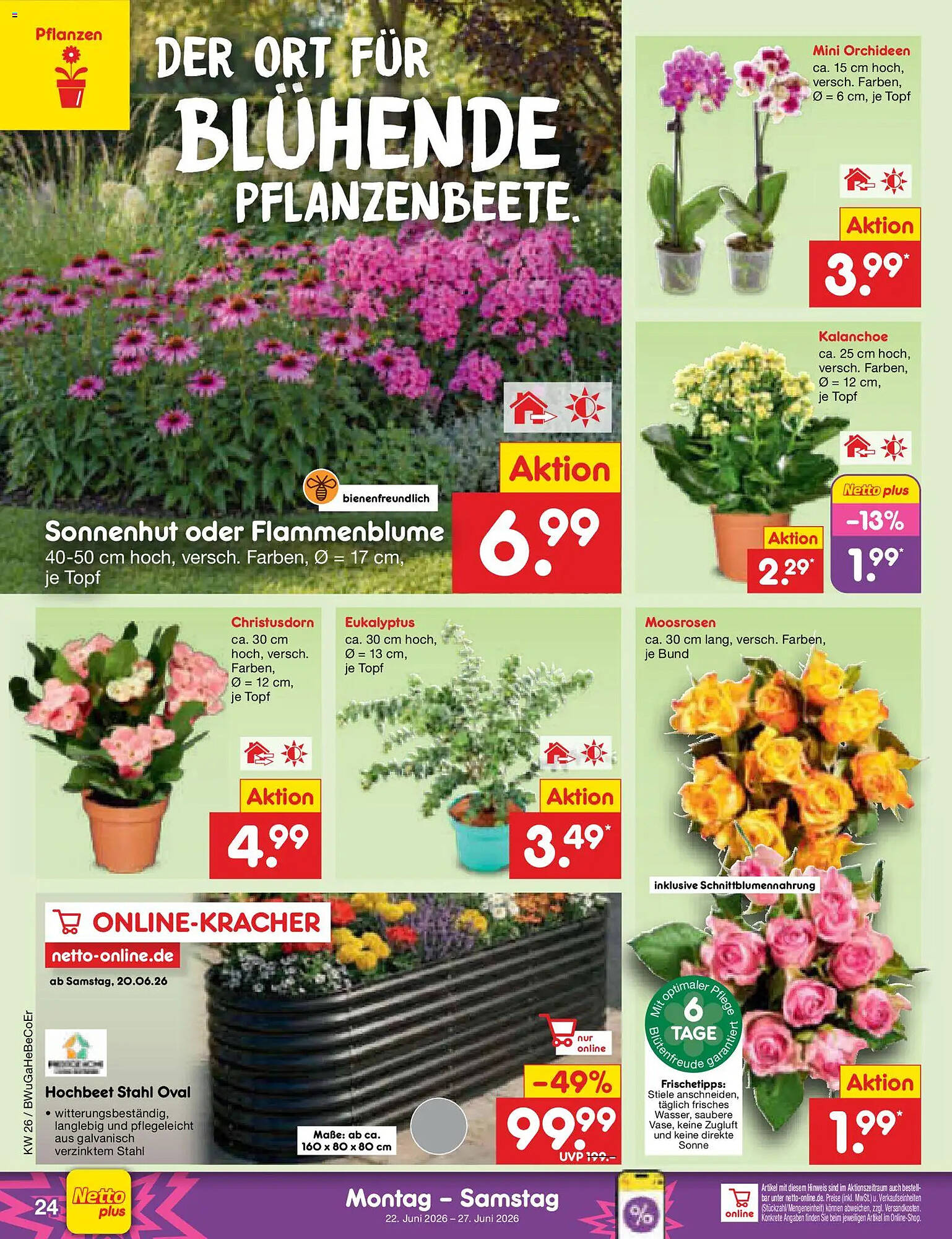 Netto Marken-Discount Prospekt - Pagina 34
