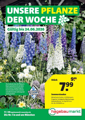Hagebau Prospekt