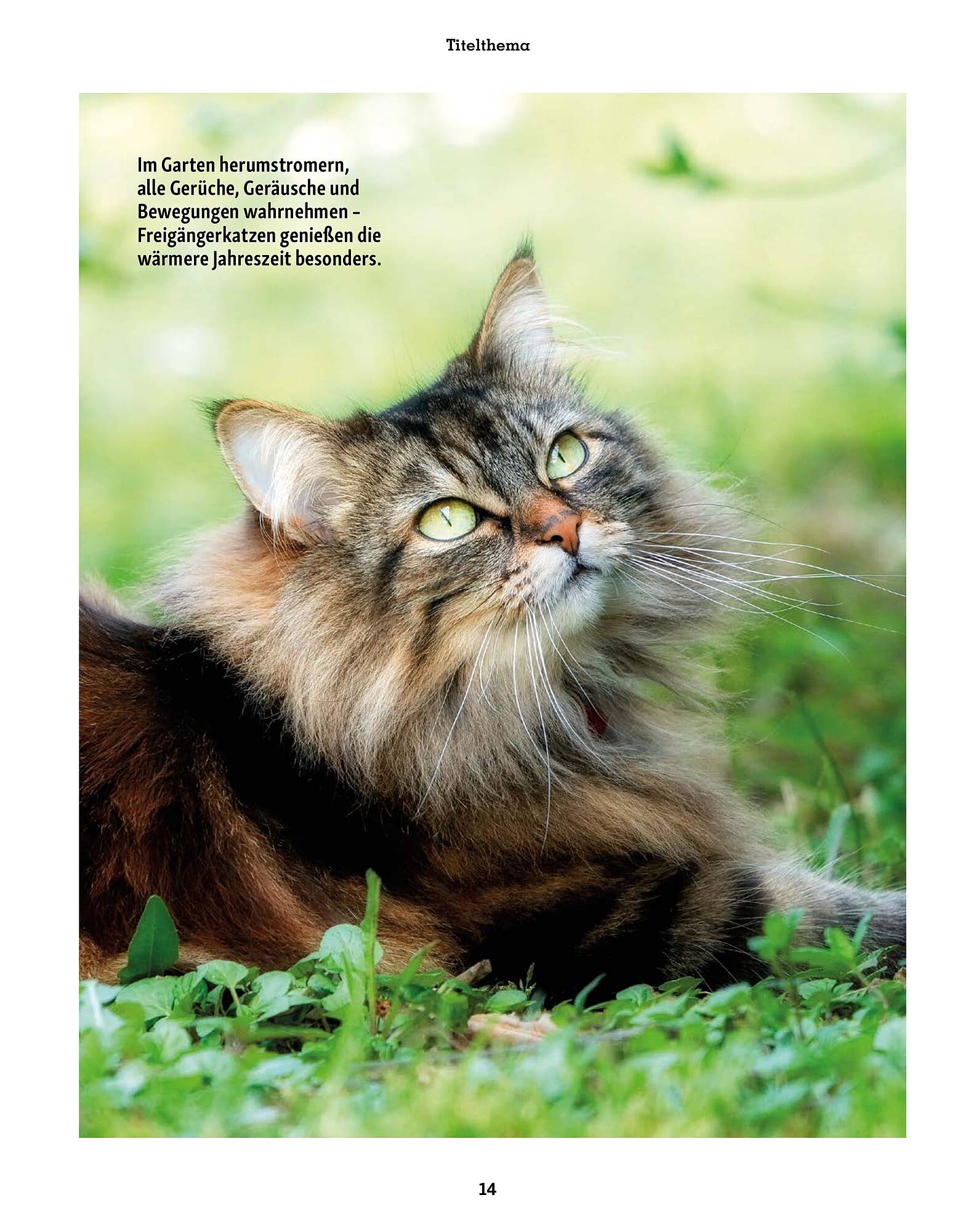 Fressnapf Prospekt - Pagina 14