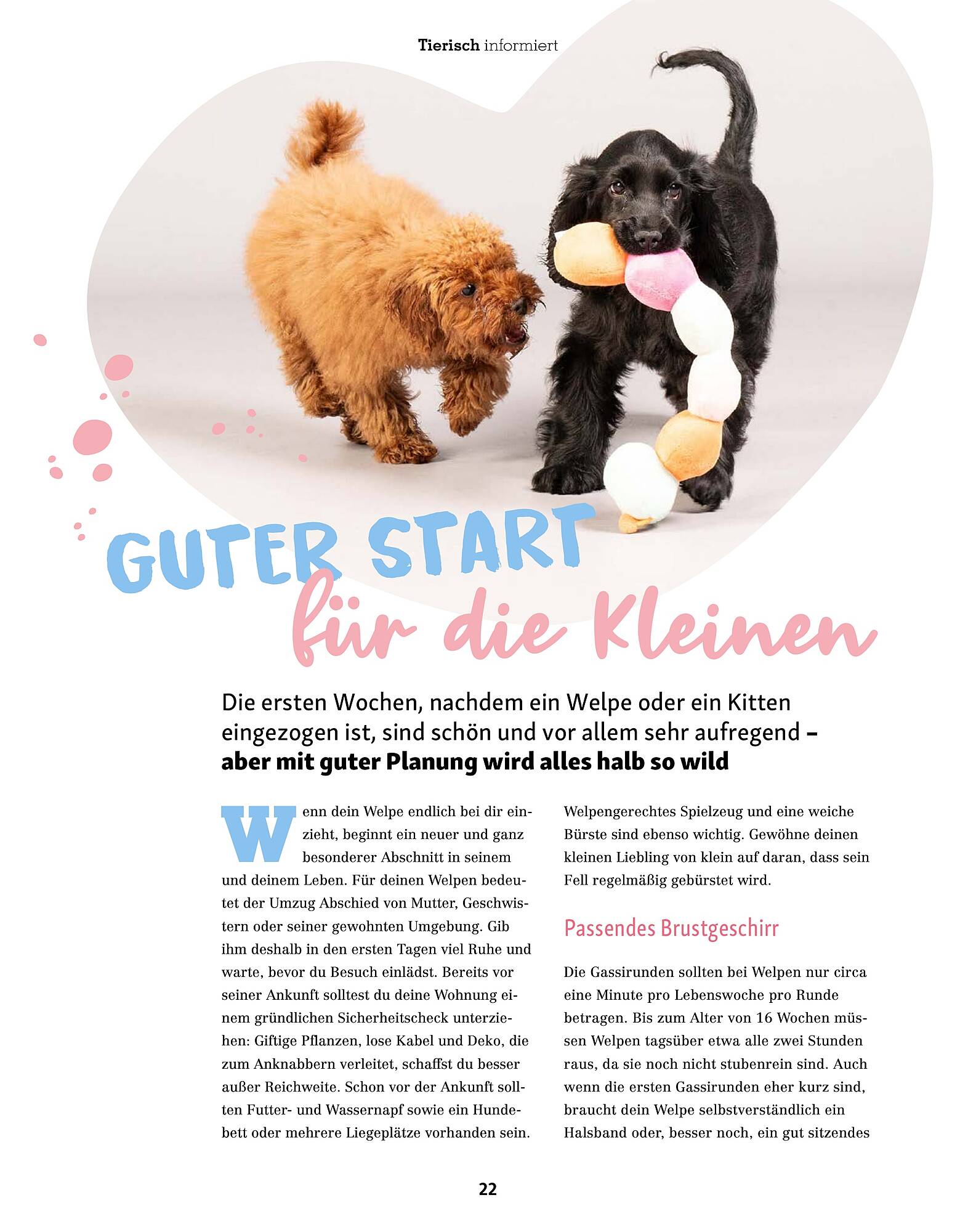 Fressnapf Prospekt - Pagina 22