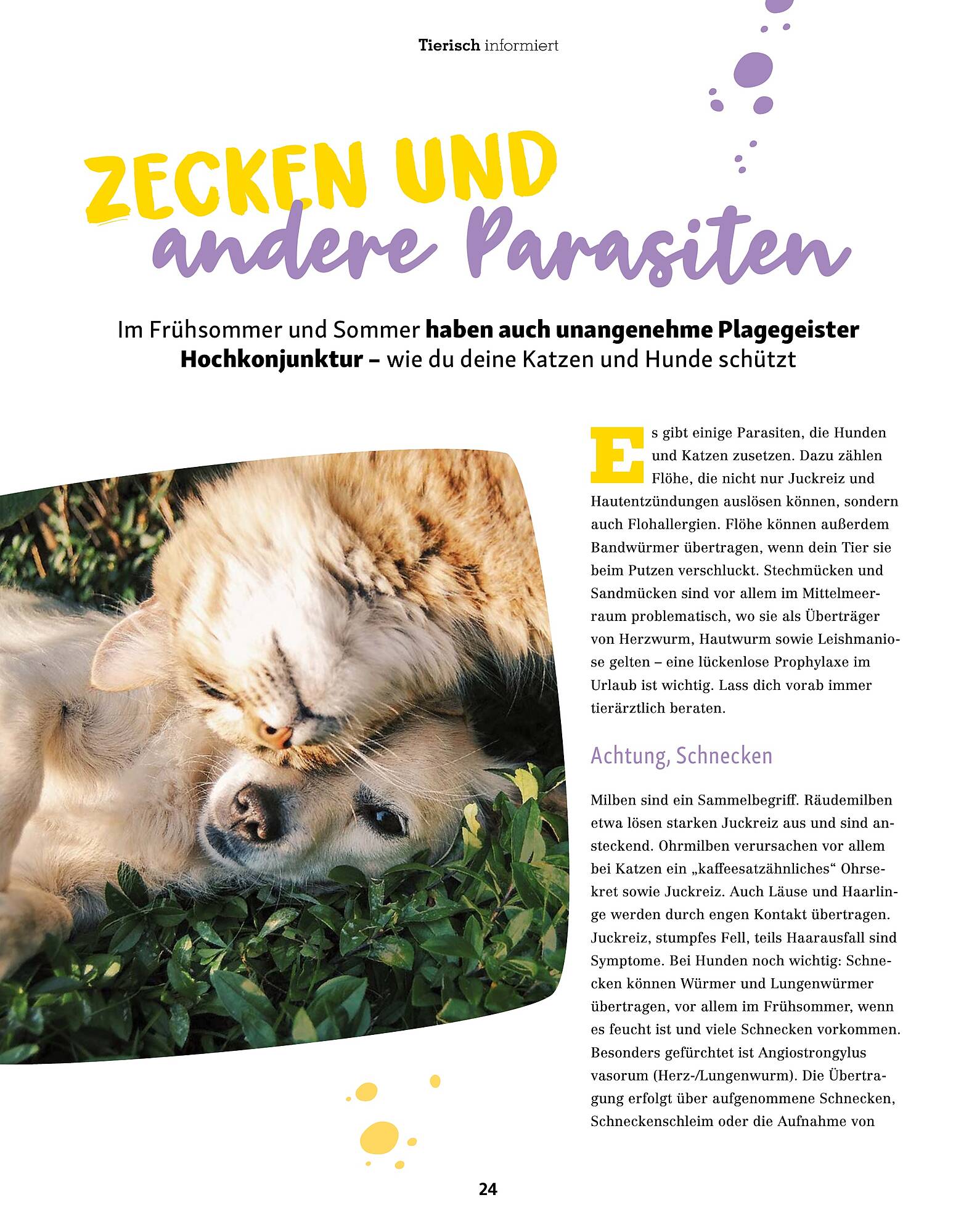 Fressnapf Prospekt - Pagina 24