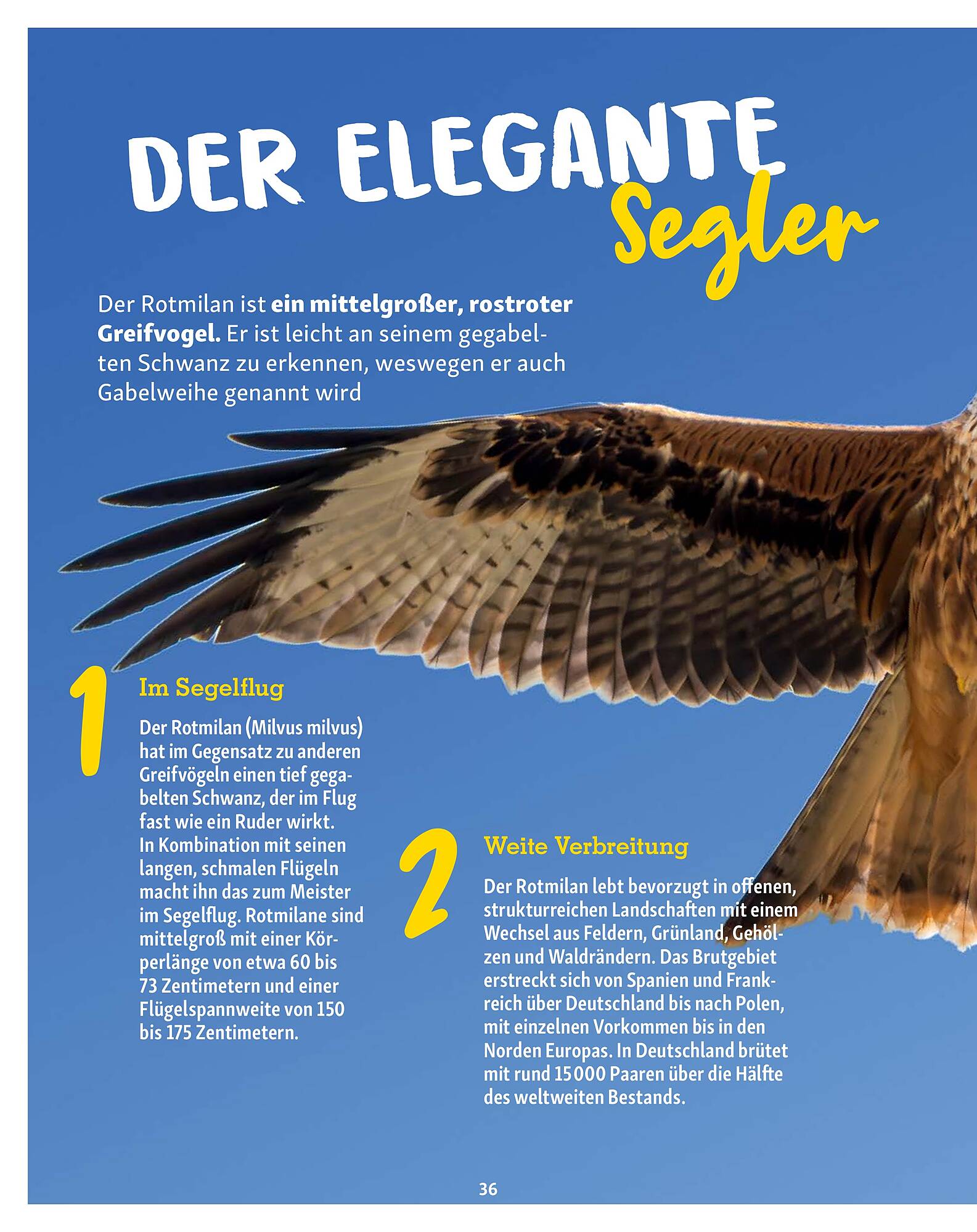 Fressnapf Prospekt - Pagina 36