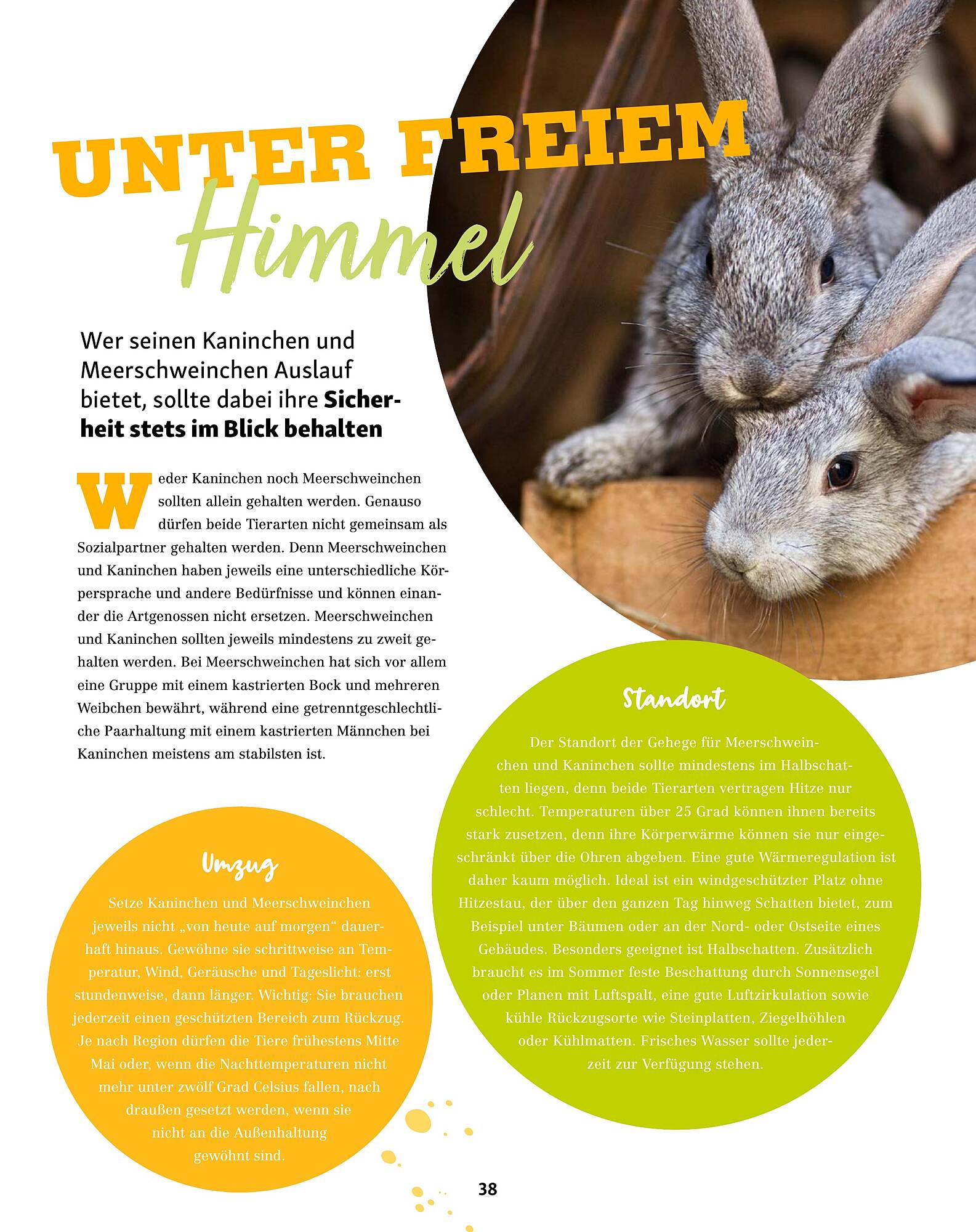 Fressnapf Prospekt - Pagina 38