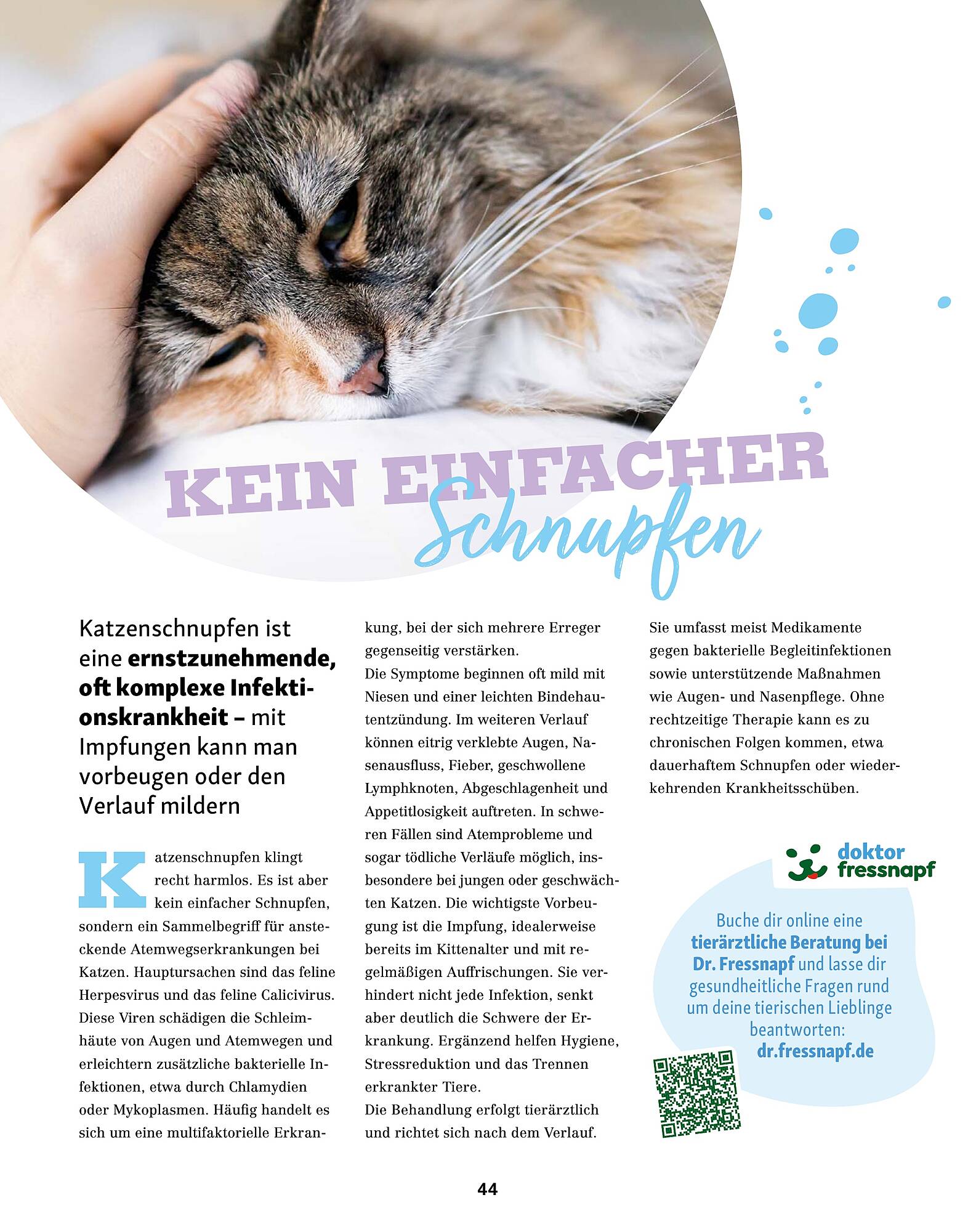 Fressnapf Prospekt - Pagina 44
