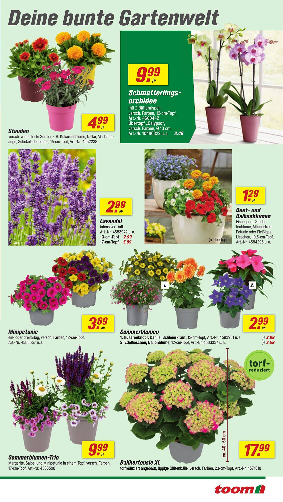 toom Baumarkt Prospekt - Pagina 5