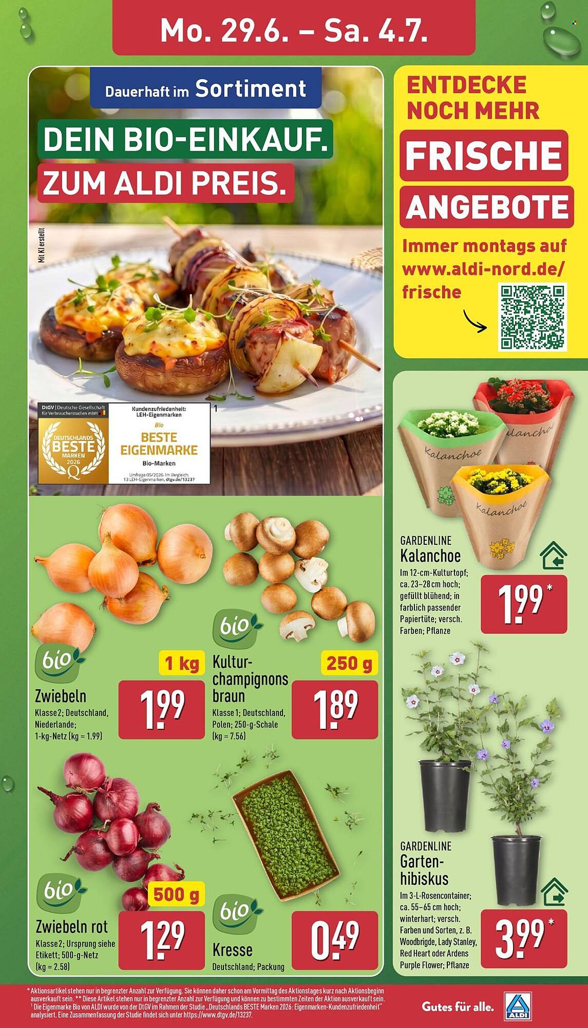 Aldi Nord Prospekt - Pagina 3