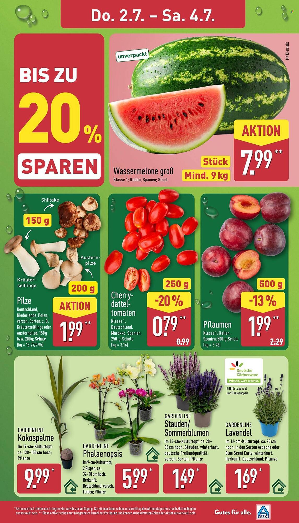 Aldi Nord Prospekt - Pagina 31