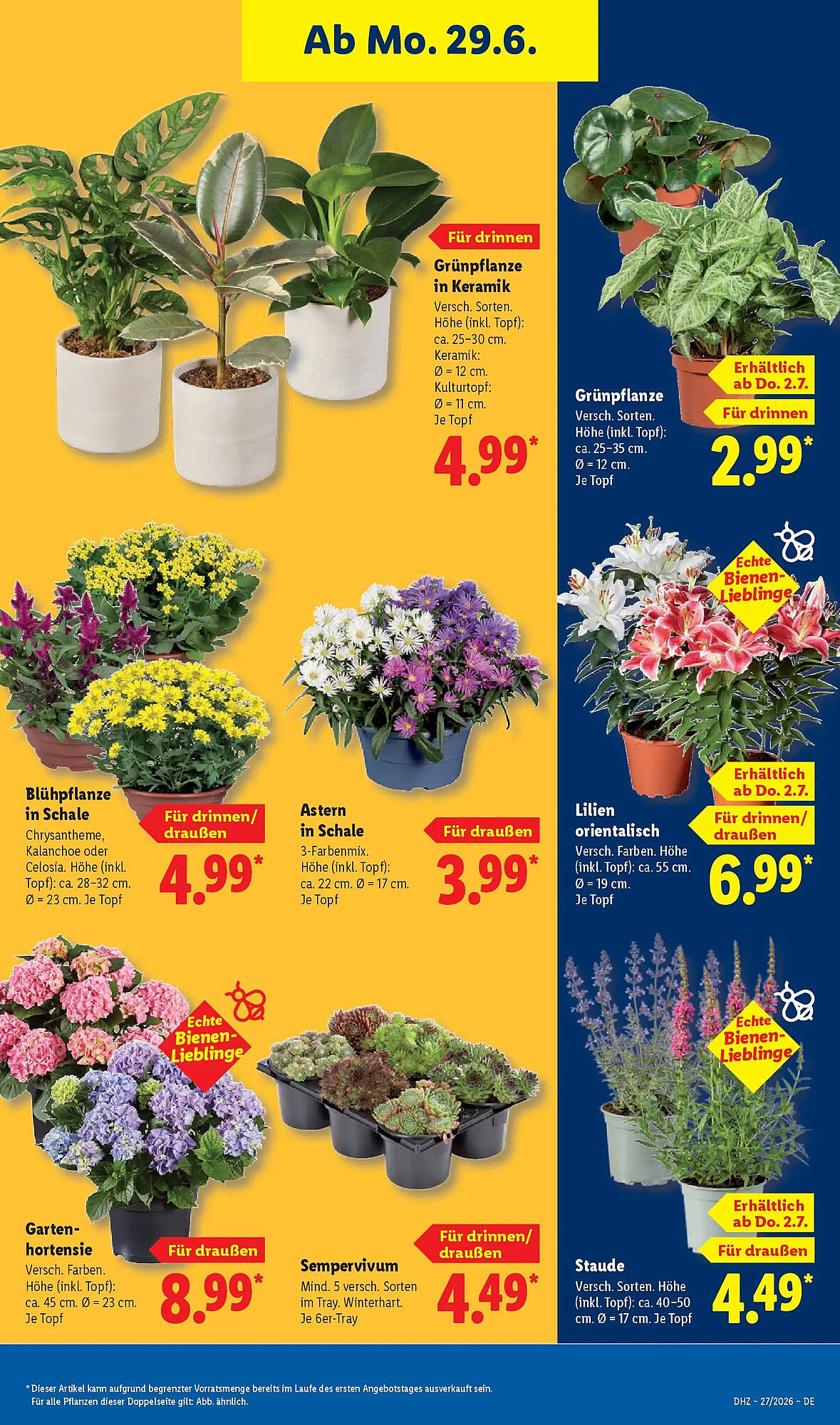 Lidl Prospekt - Pagina 35