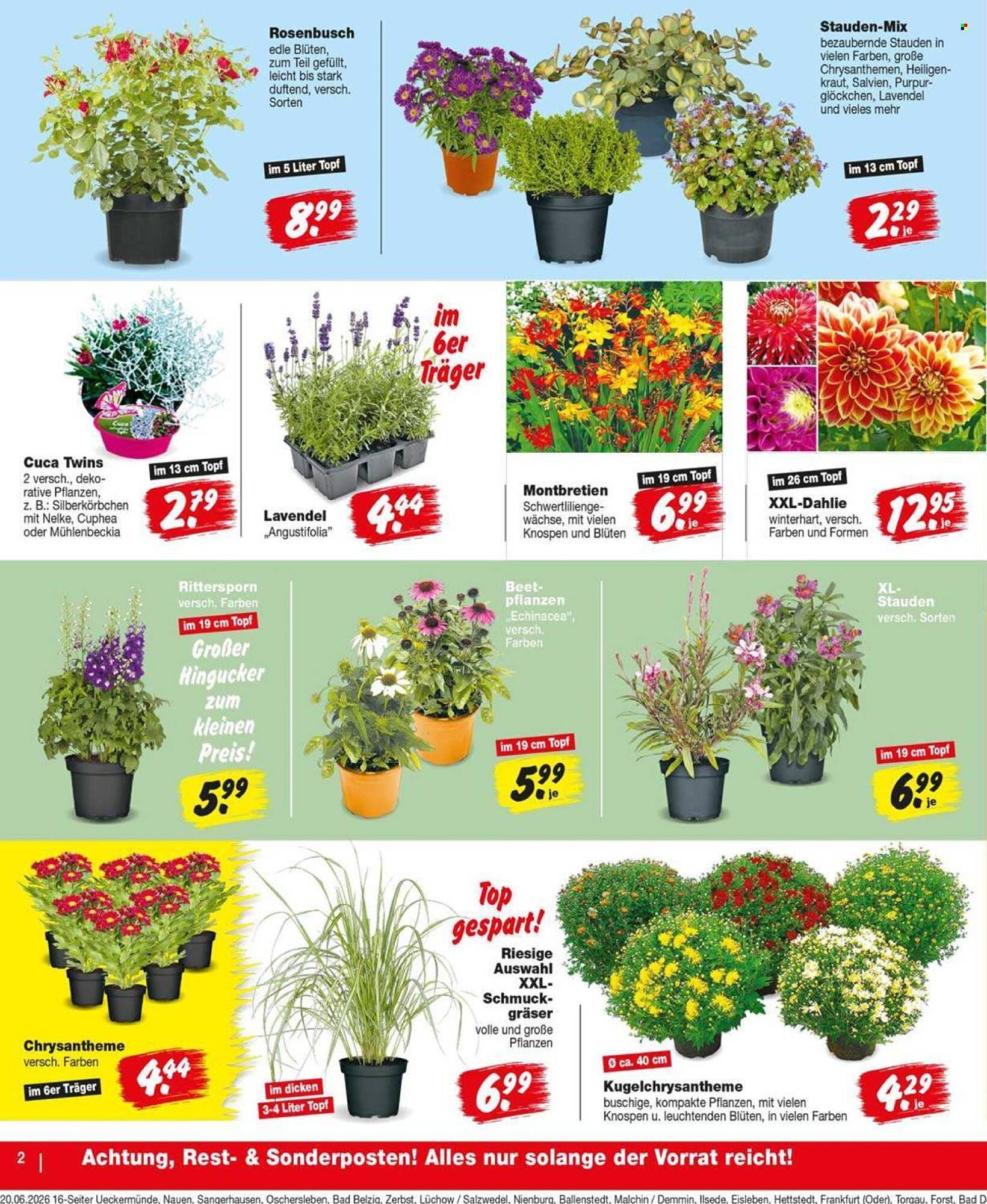 Repo Markt Prospekt - Pagina 2
