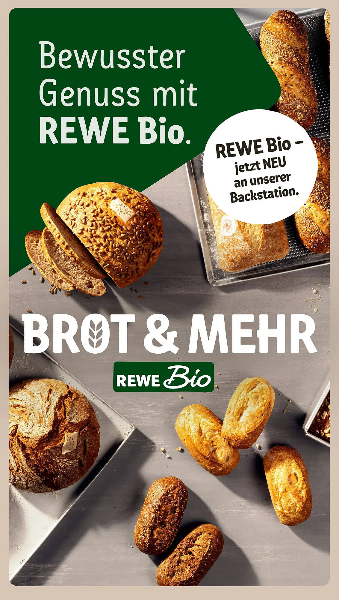 REWE Prospekt - Pagina 17