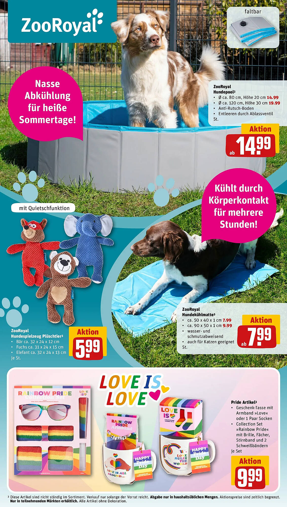 REWE Prospekt - Pagina 33