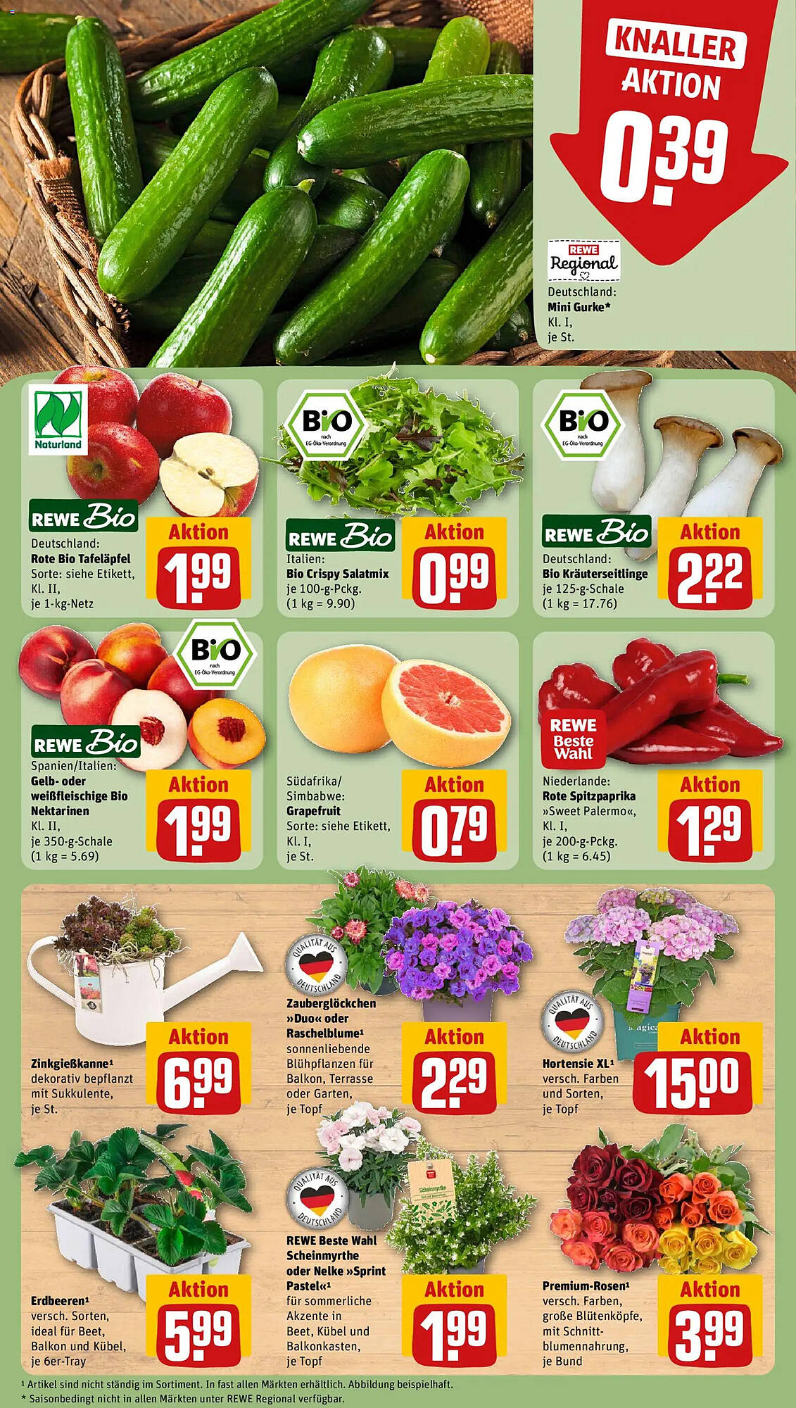 REWE Kaufpark Prospekt - Pagina 5