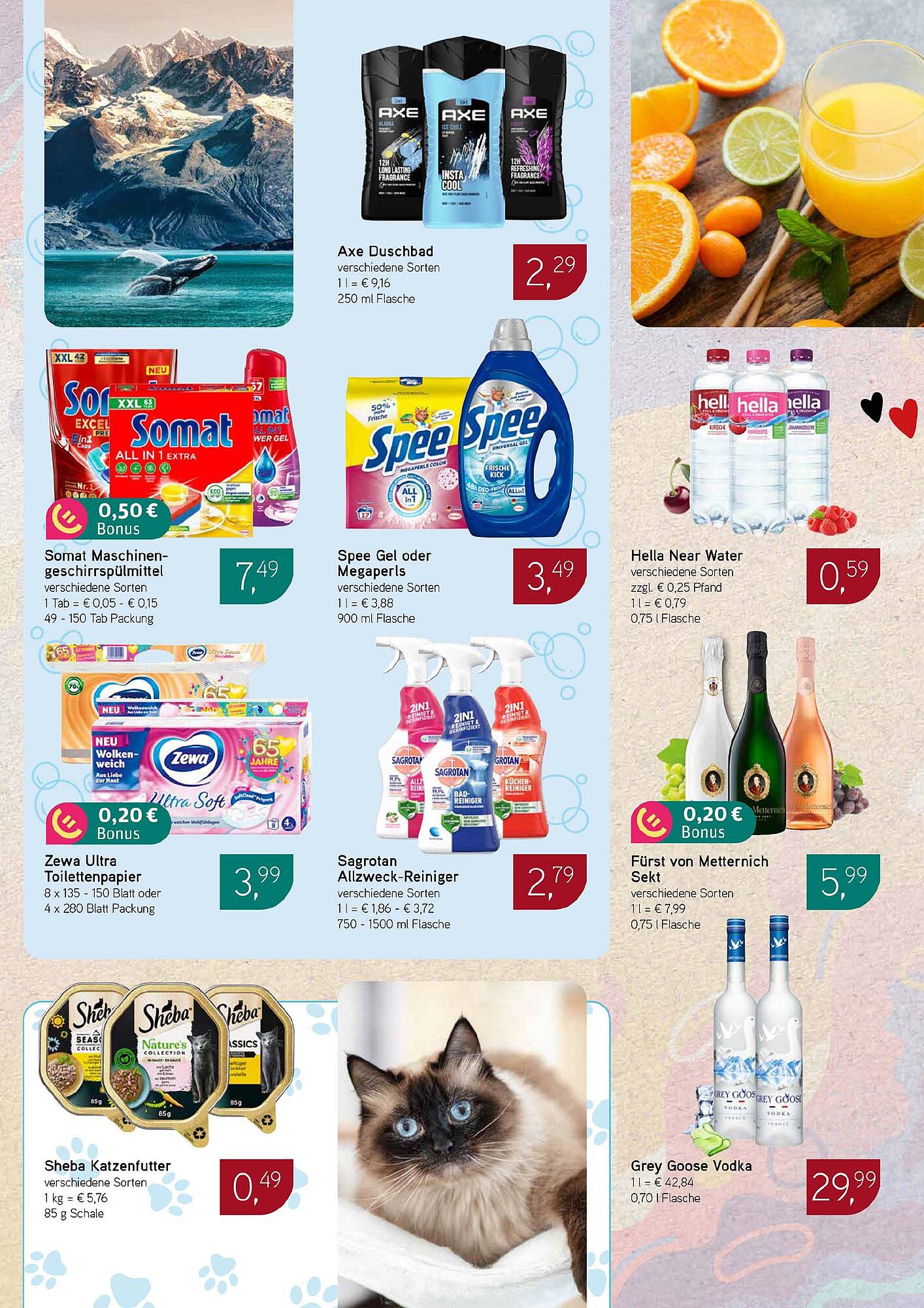 Dornseifer Prospekt - Pagina 14