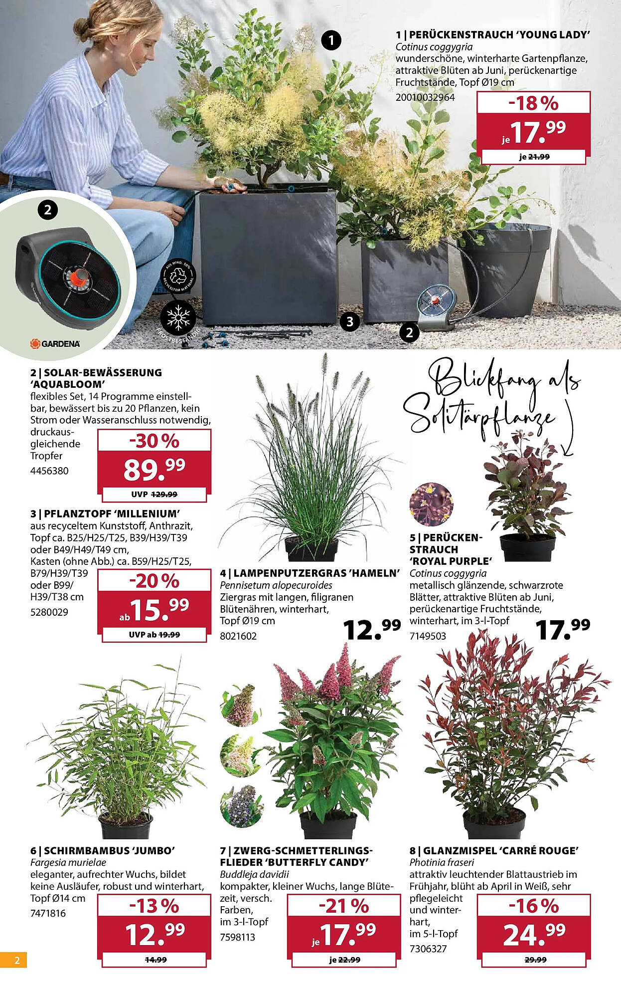 Dehner Prospekt - Pagina 2