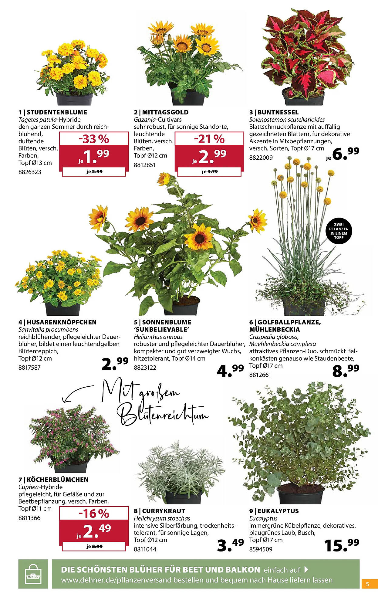 Dehner Prospekt - Pagina 5