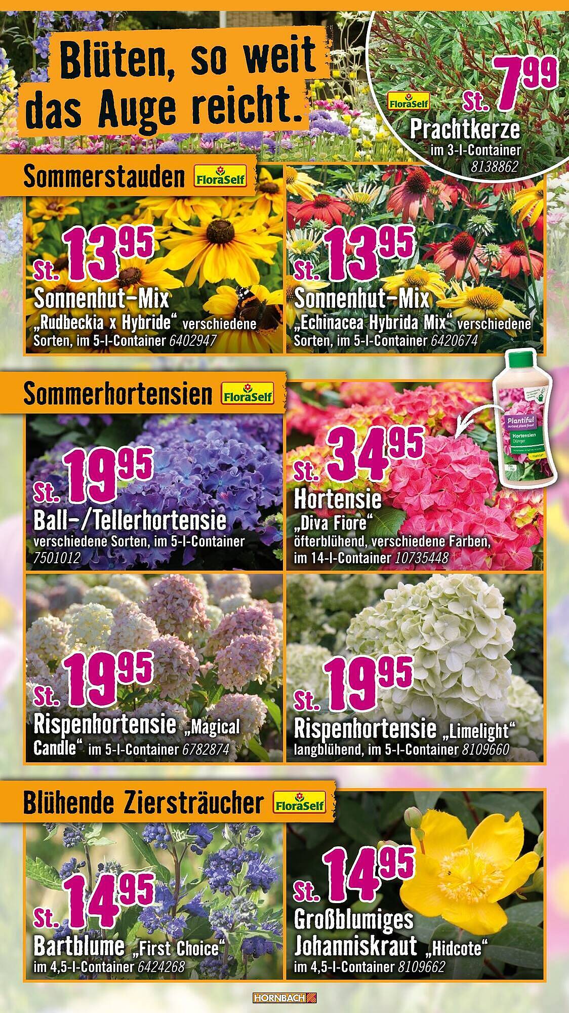 Hornbach Prospekt - Pagina 10